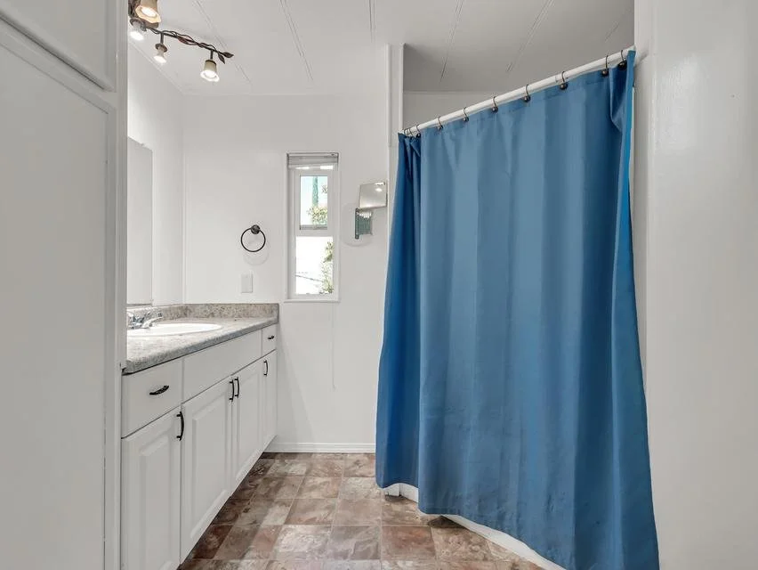 488 Brushwood primary bathroom.jpg
