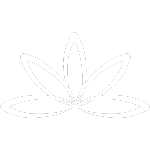 Intricate mandala design for centering and focus - geometric and floral elements.