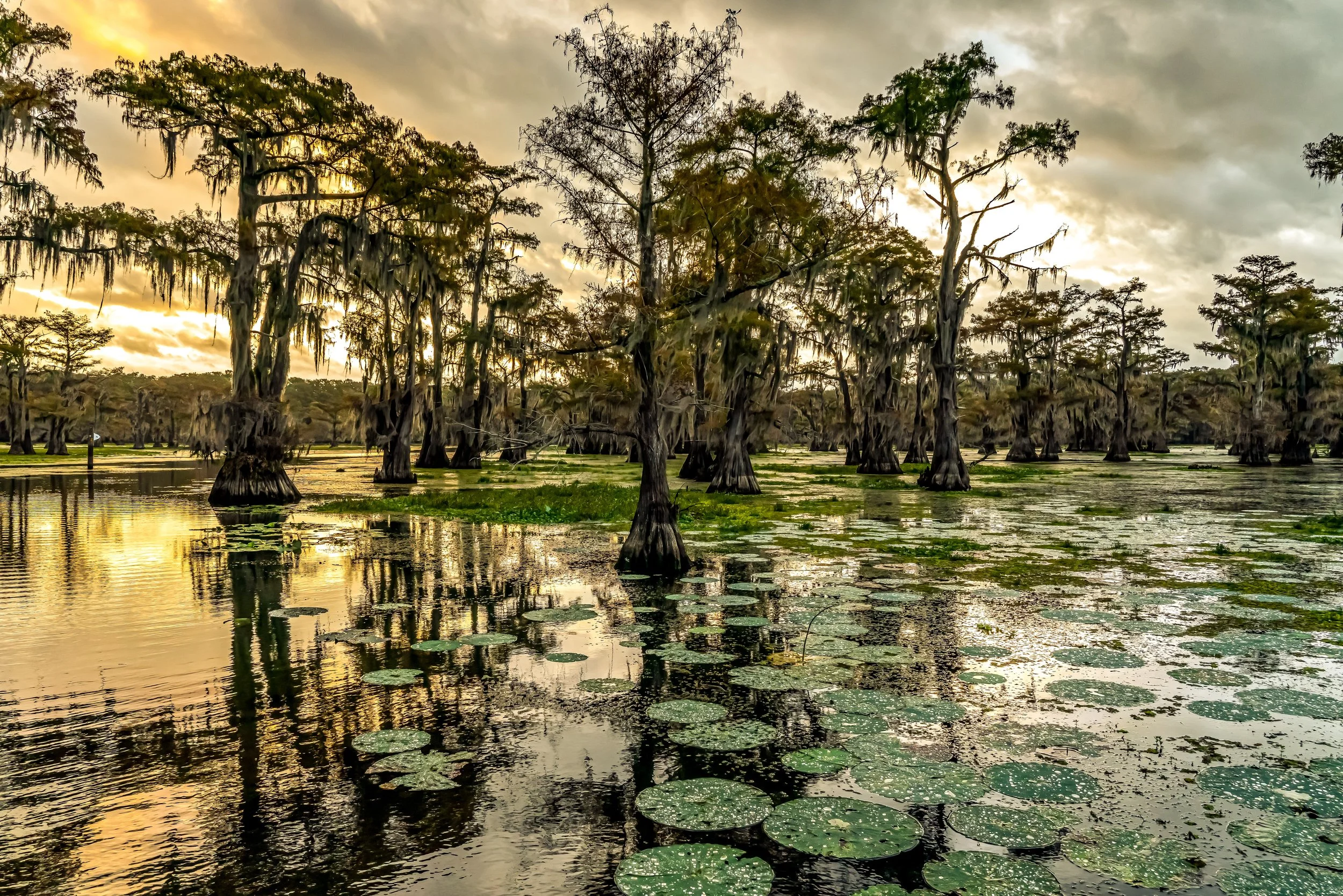 Capturing the Divine Through the Lens
