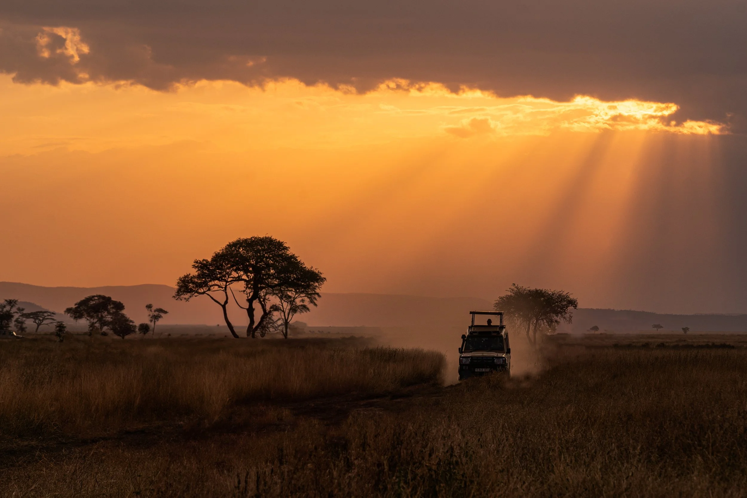 Unleashing the Spirit of Adventure on a Luxury Photo Safari