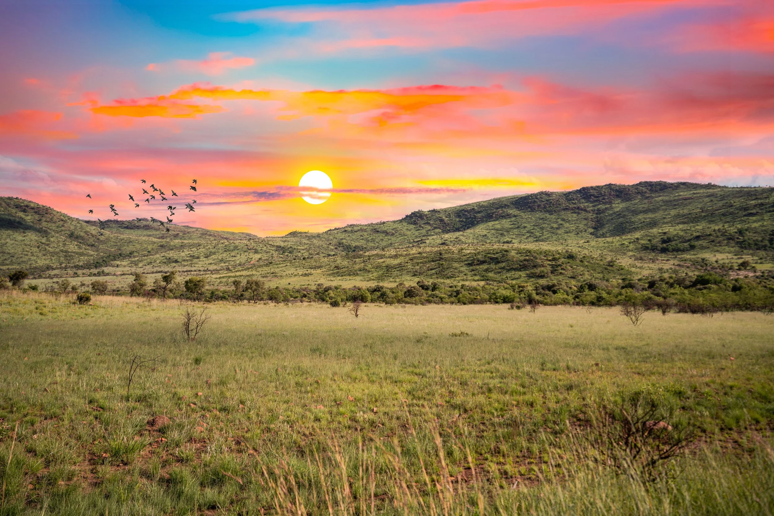 Capturing the Spirit of Adventure on a Luxury Photo Safari