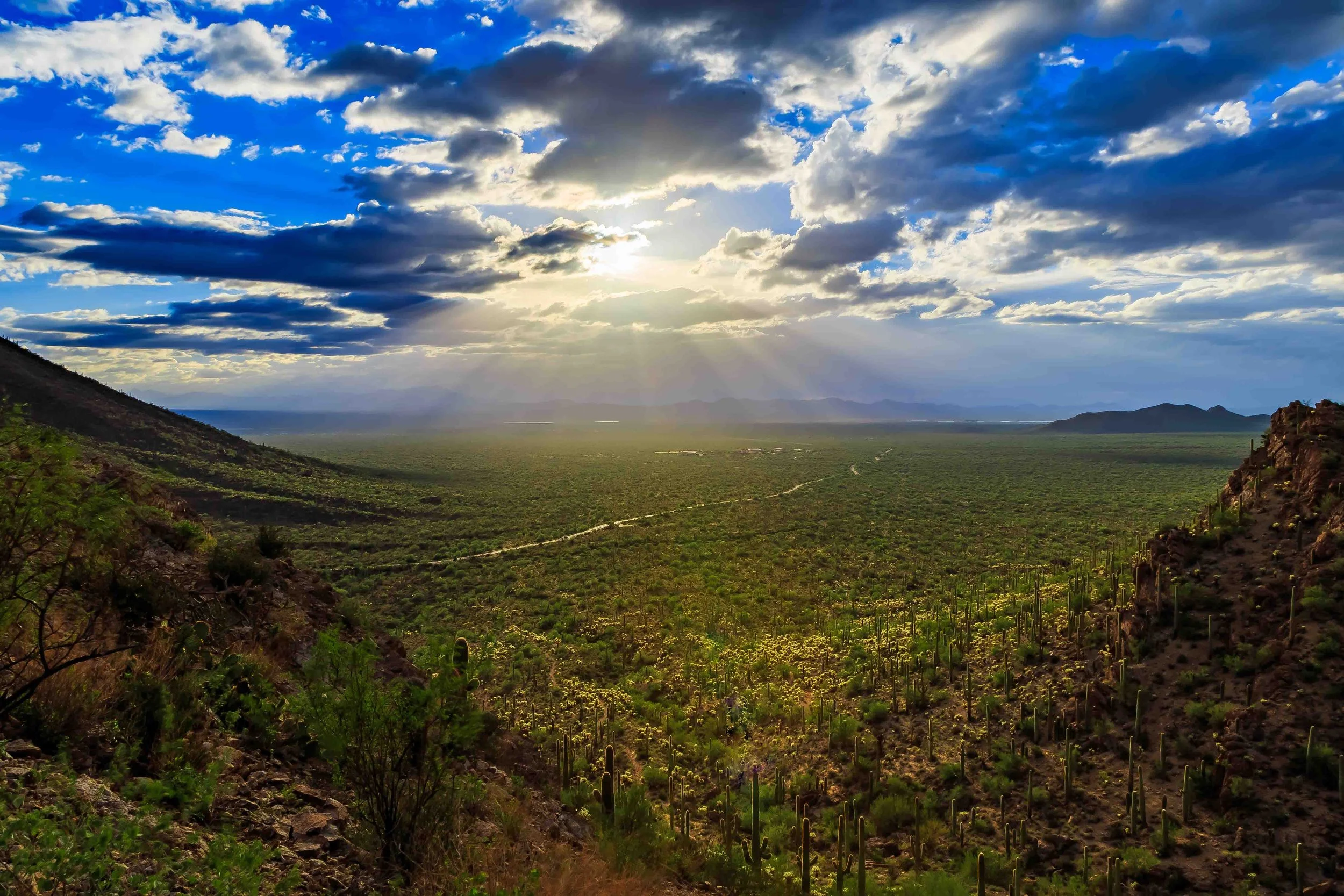 Tucson desert landscape golden hour