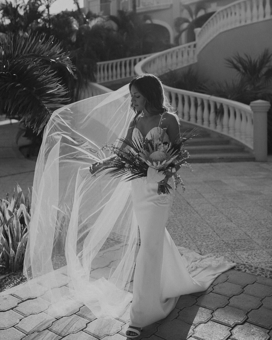 The bride, her protea and her veil.

Bride: @_morgiep_ | Photo: @anascaparone | Florist: @cherryblossom_mexico | Glam: @prepweddings | Loc. @dreamsresorts 

#destinationweddingplanner #destinationweddings #whiteandblackweddings #bridedress #bride #me