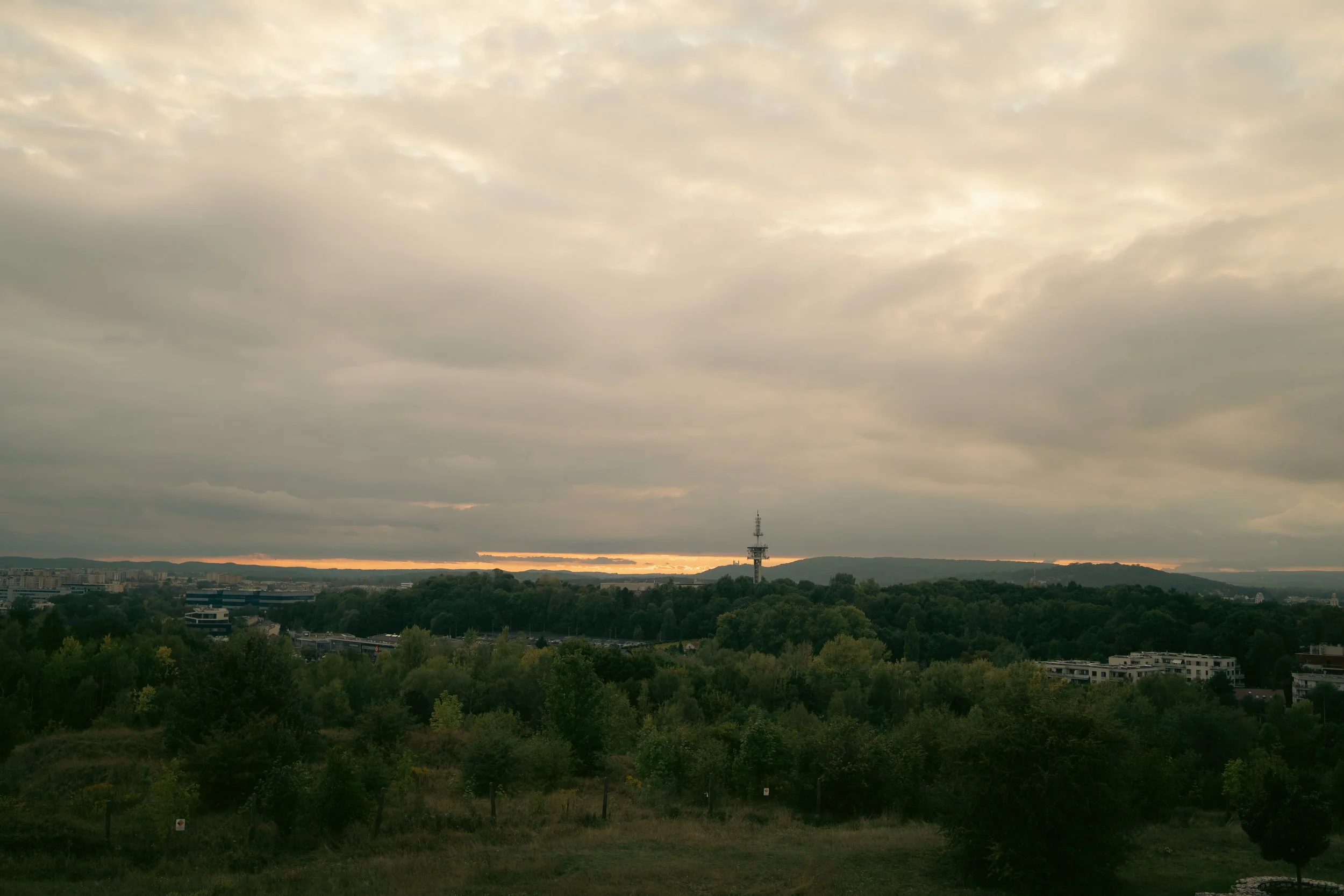 DSC03784.jpg