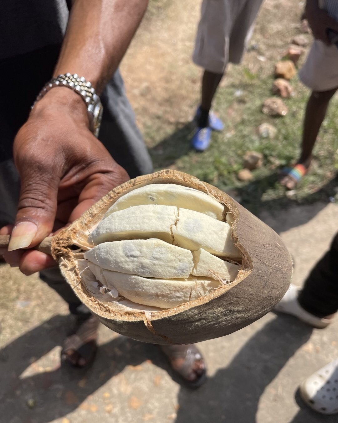 The white powder from the fruit of the Baobab tree has a citrus flavor with high vitamin C content along with calcium and antioxidants. In June and July we anticipate substantial plantings from our school nurseries of Baobab trees.
Savannah Rising🌳?
