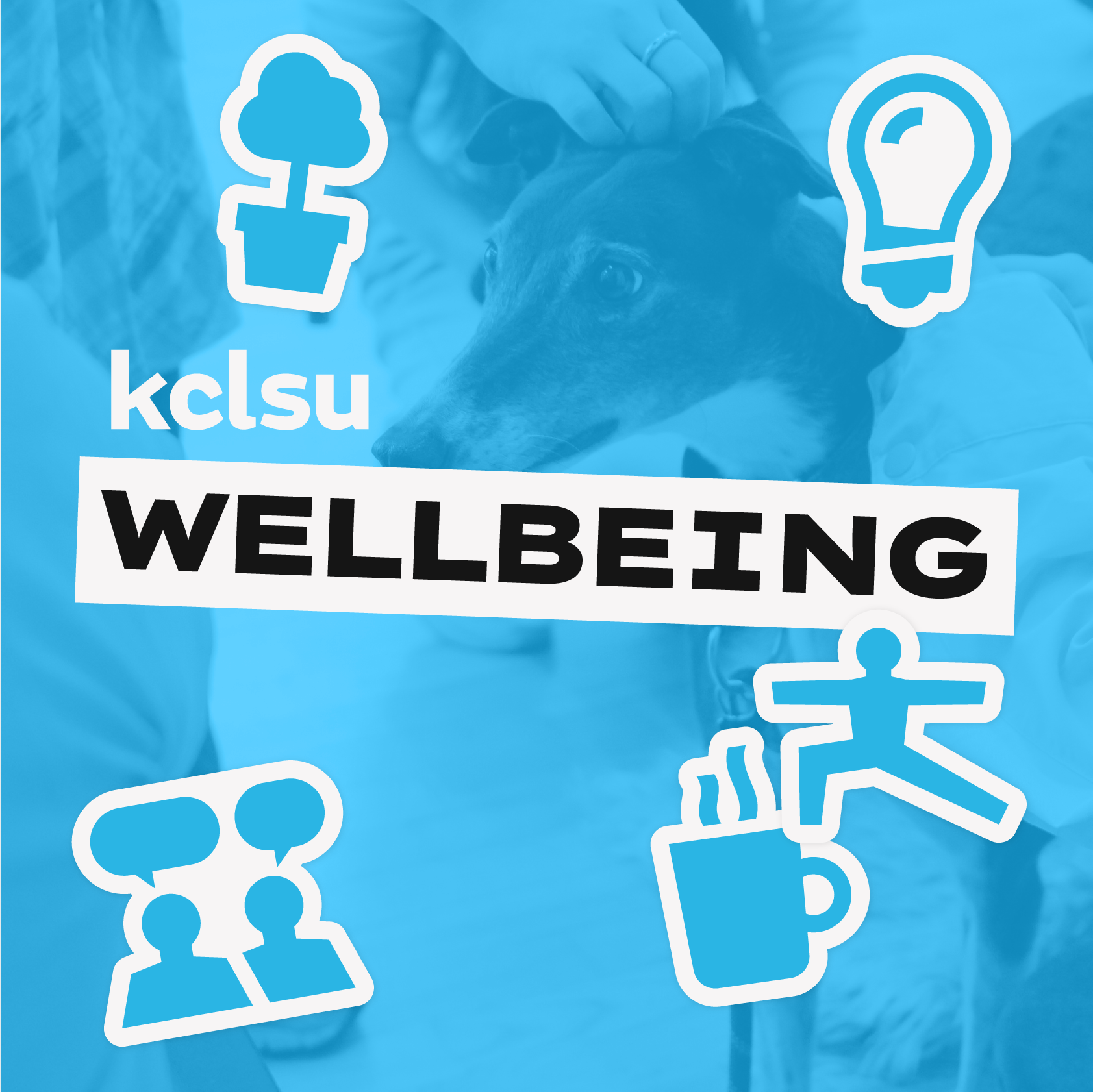 Wellbeing