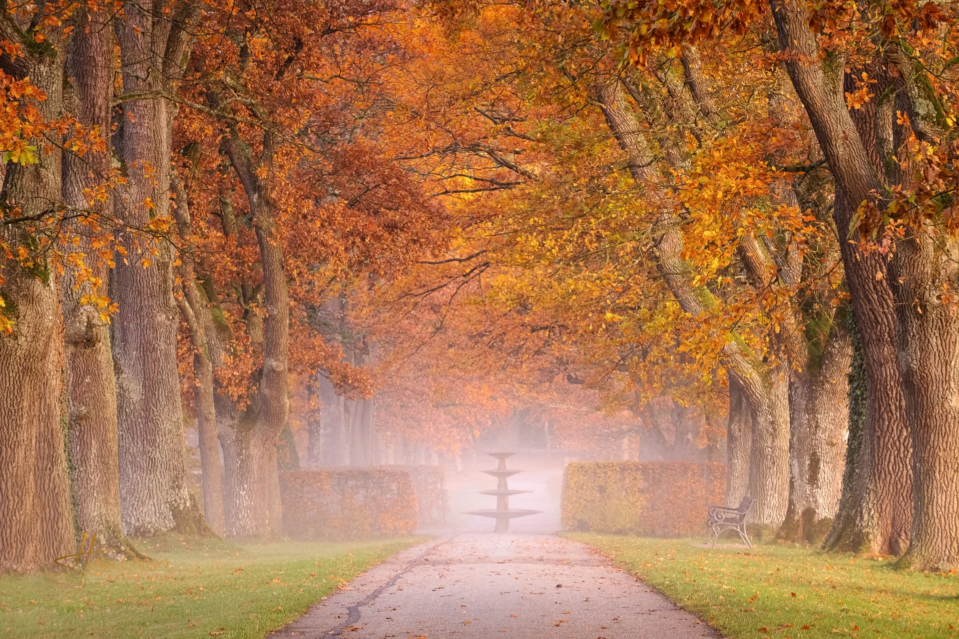 86351_Herbst_20251101-Bearbeitet.jpg