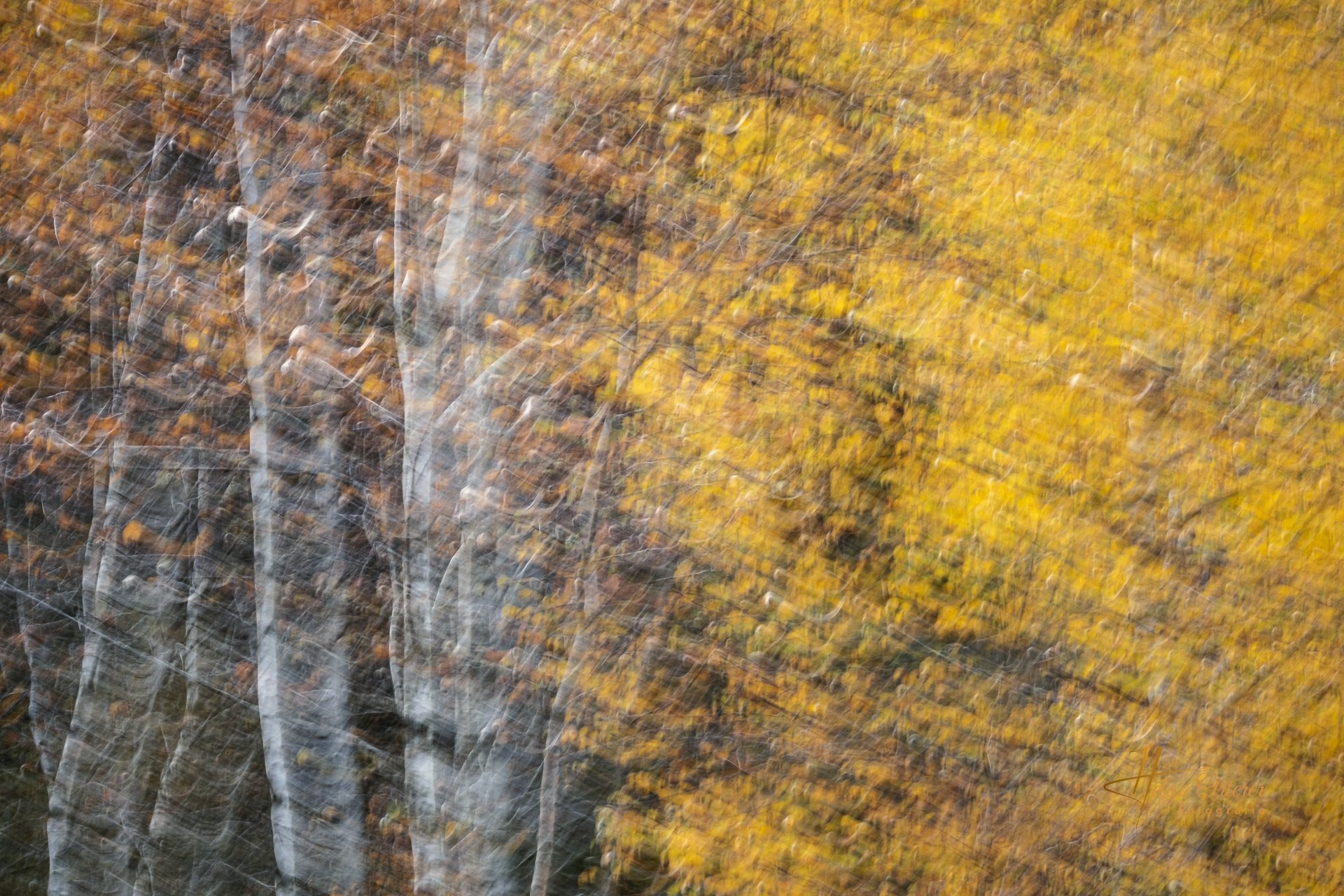 86105_Herbst_20251019.jpg