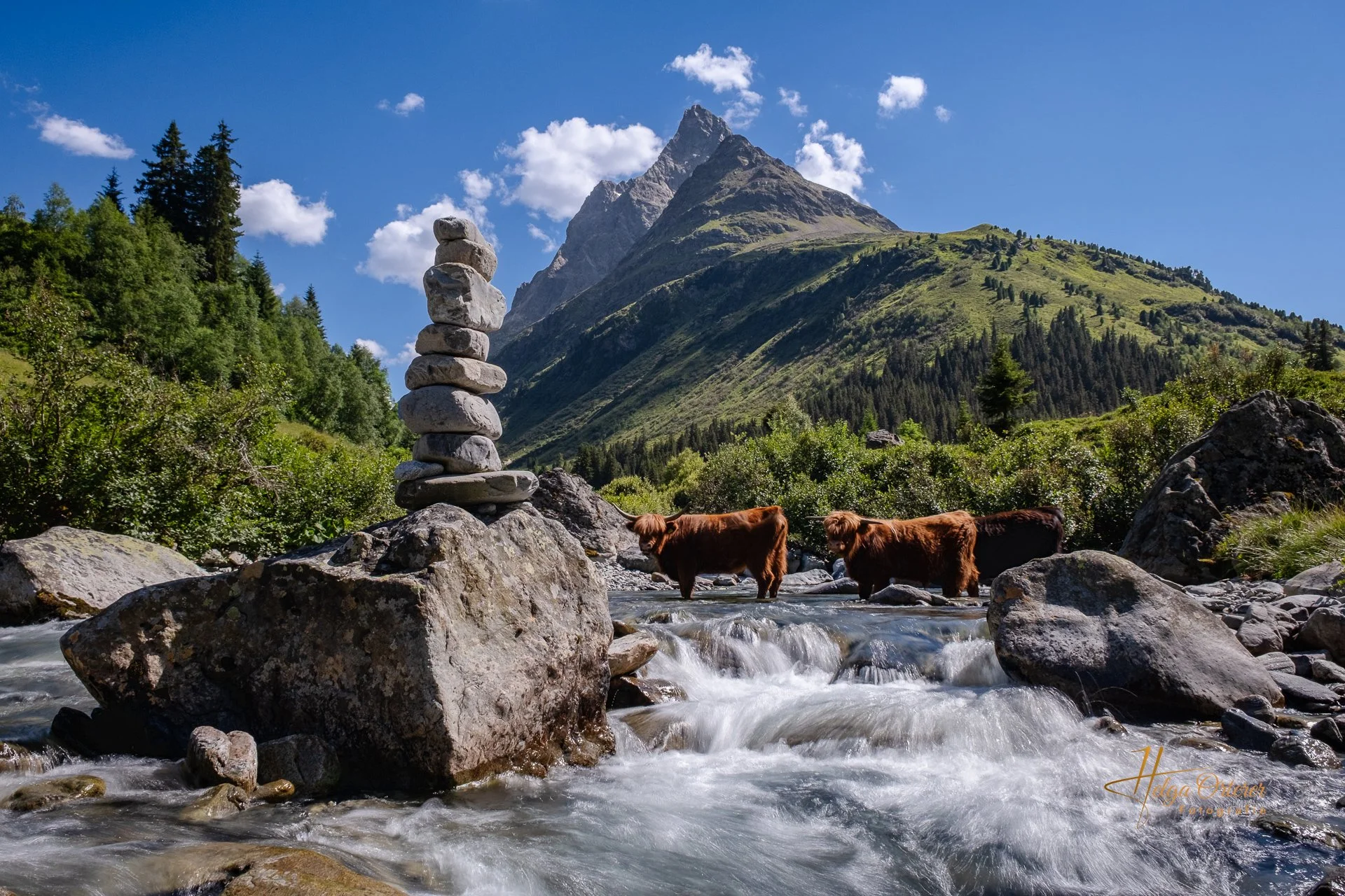 97534_Arlberg_20260710.jpg