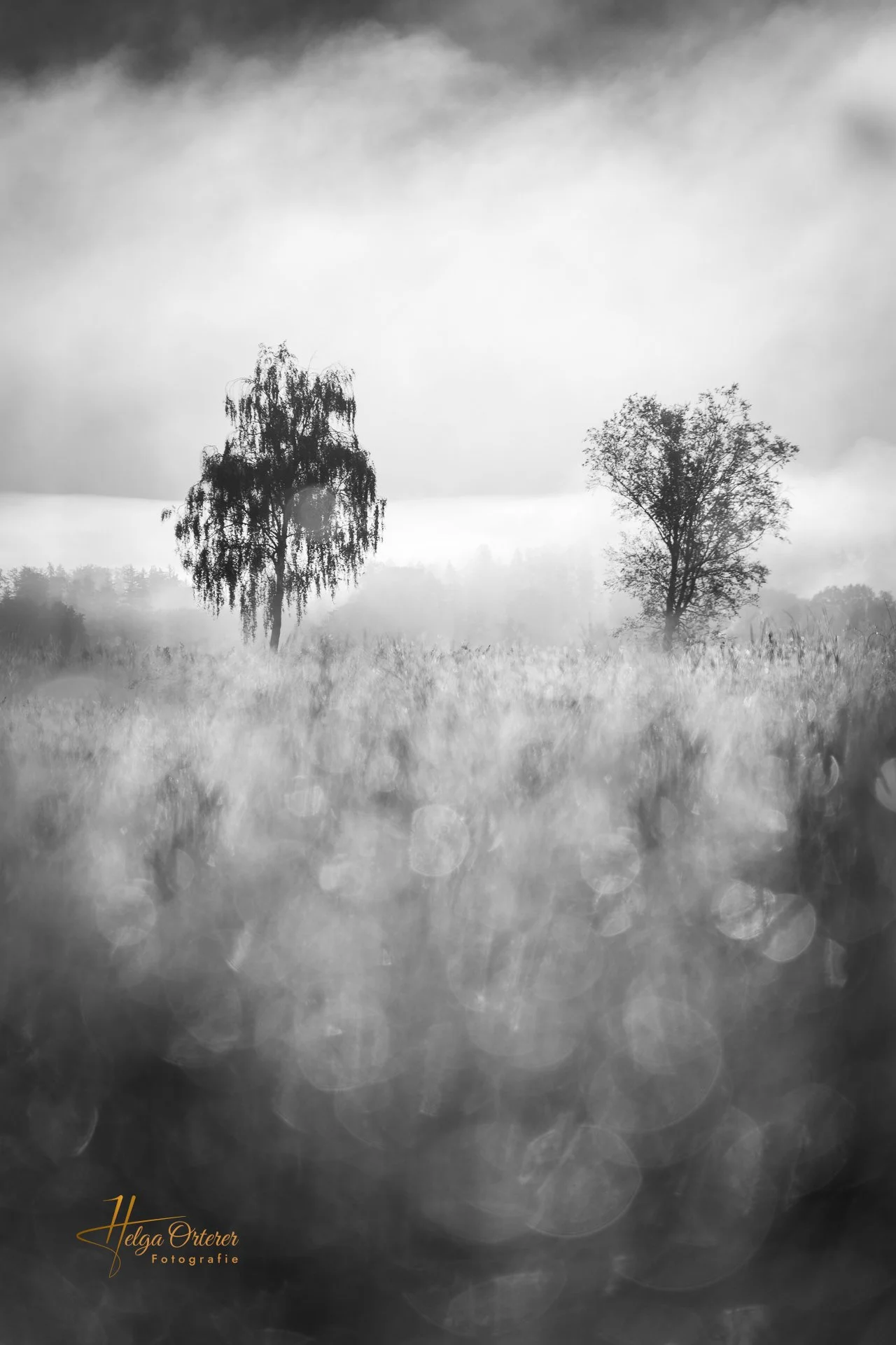 82225_Nebel_20250906-Bearbeitet.jpg