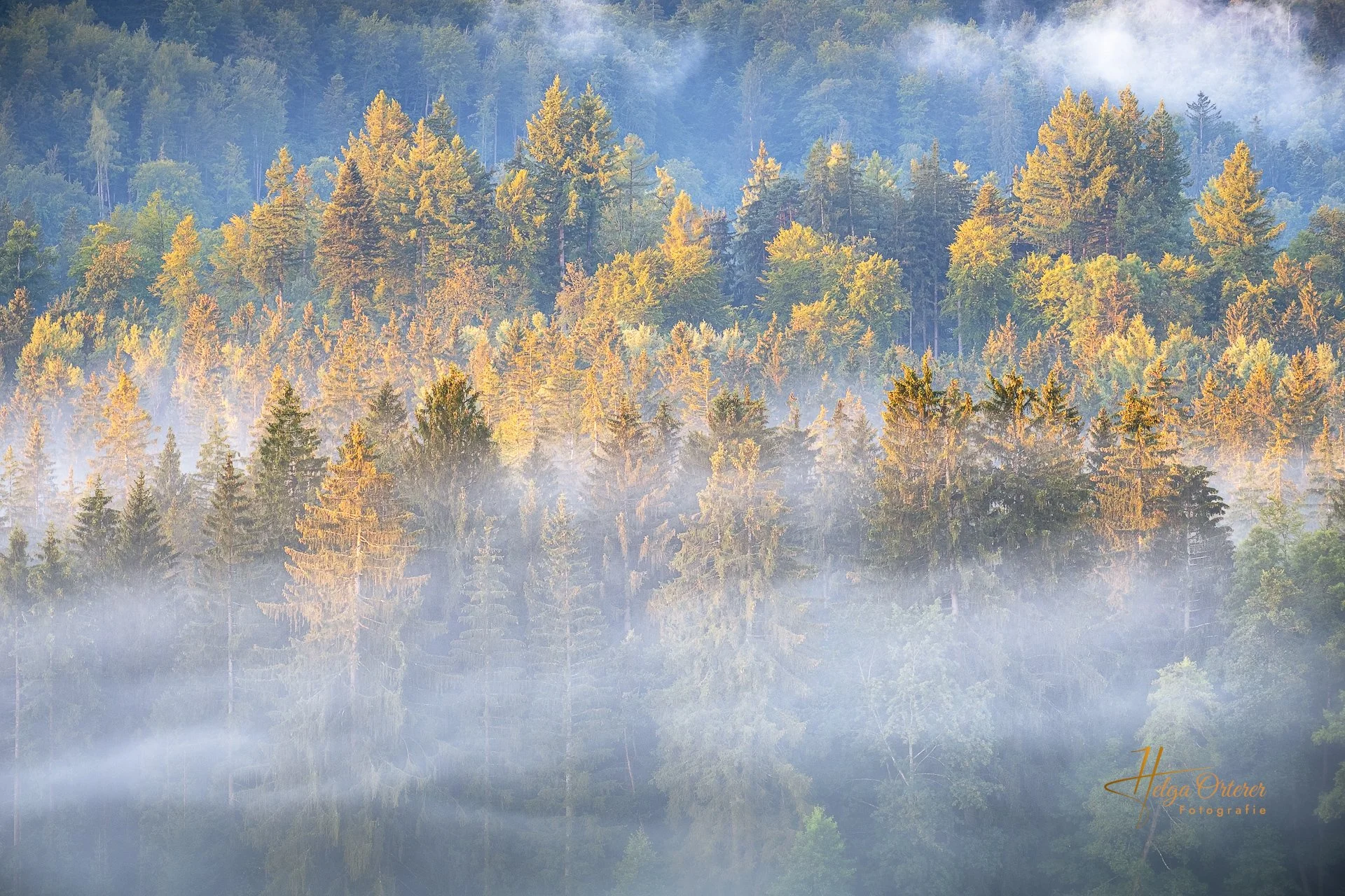 58600_Nebelstimmung_20240815-Bearbeitet.jpg