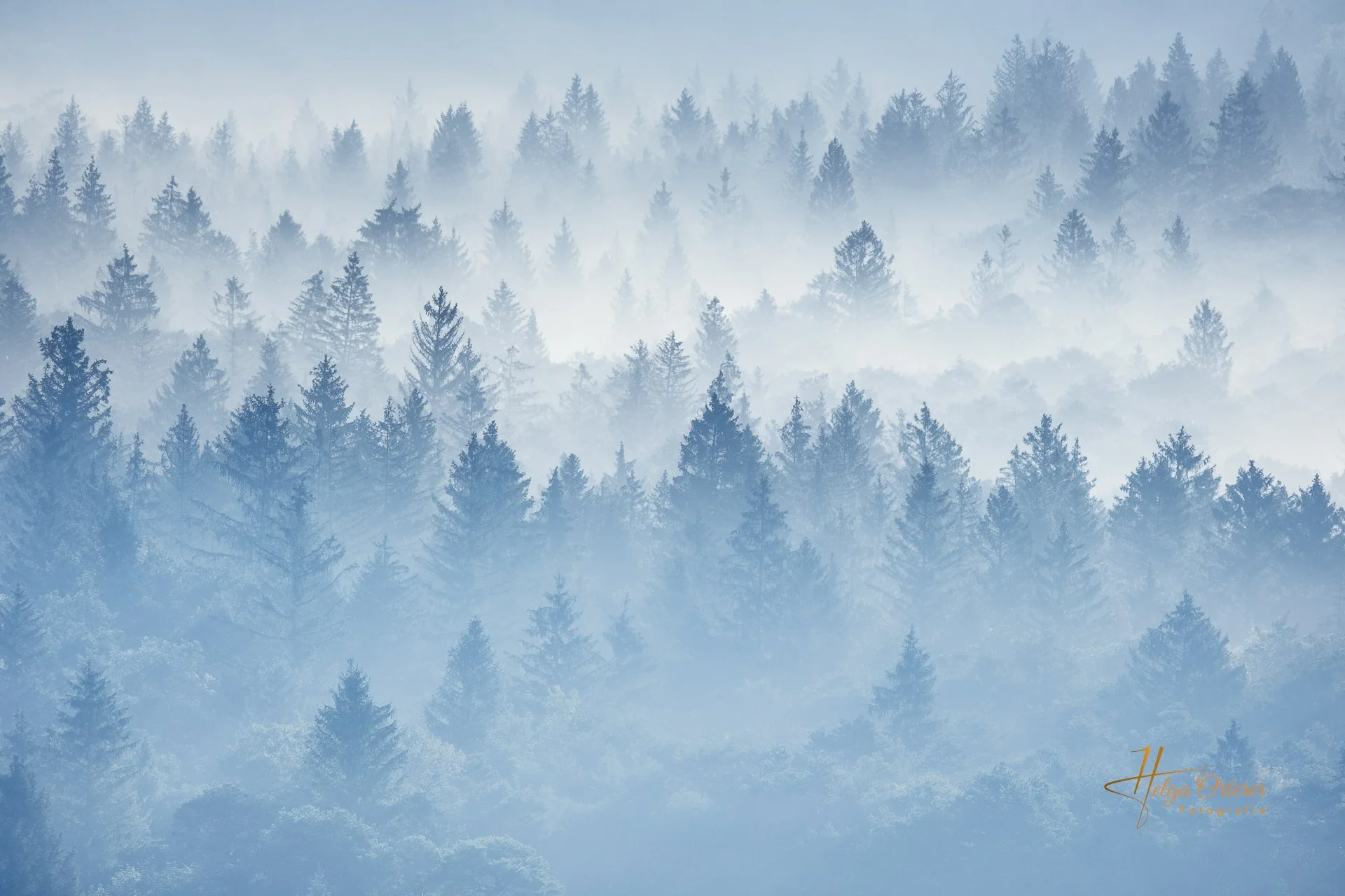 36896_Schlederloh_20230912-HDR-Bearbeitet.jpg