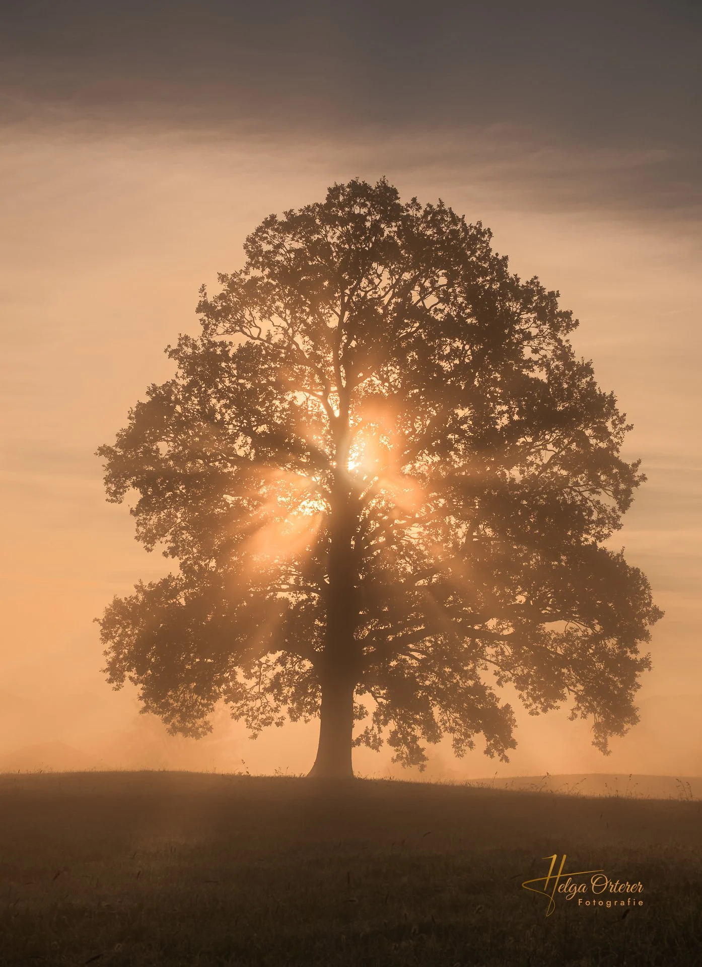 38133_Nebel_20231006-HDR.jpg
