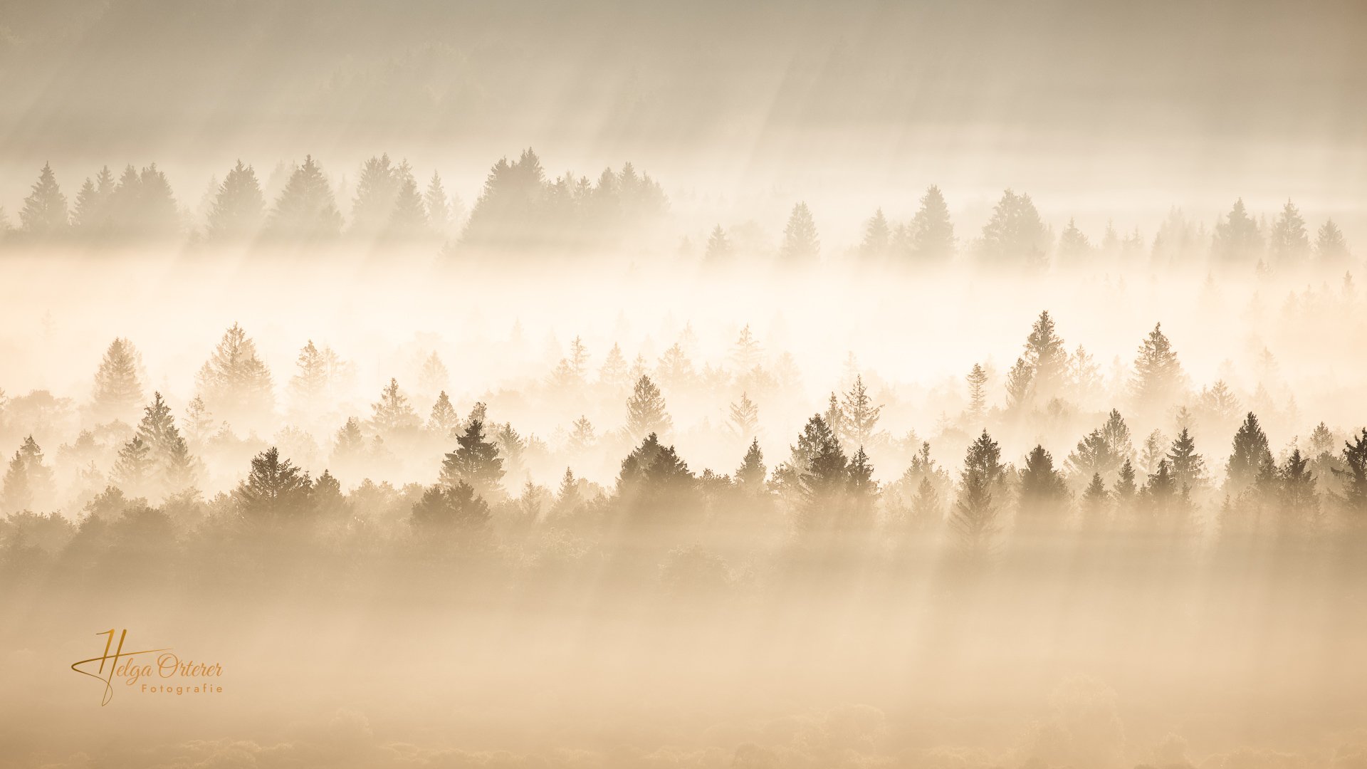 36771_Schlederloh_20230912-HDR-Bearbeitet.jpg