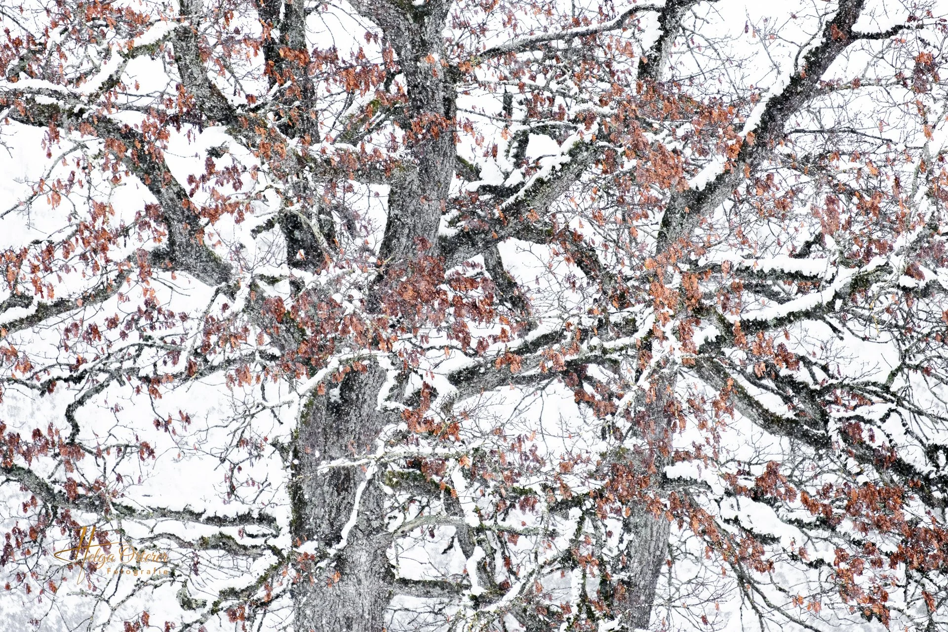 87445_Winter_20260129.jpg