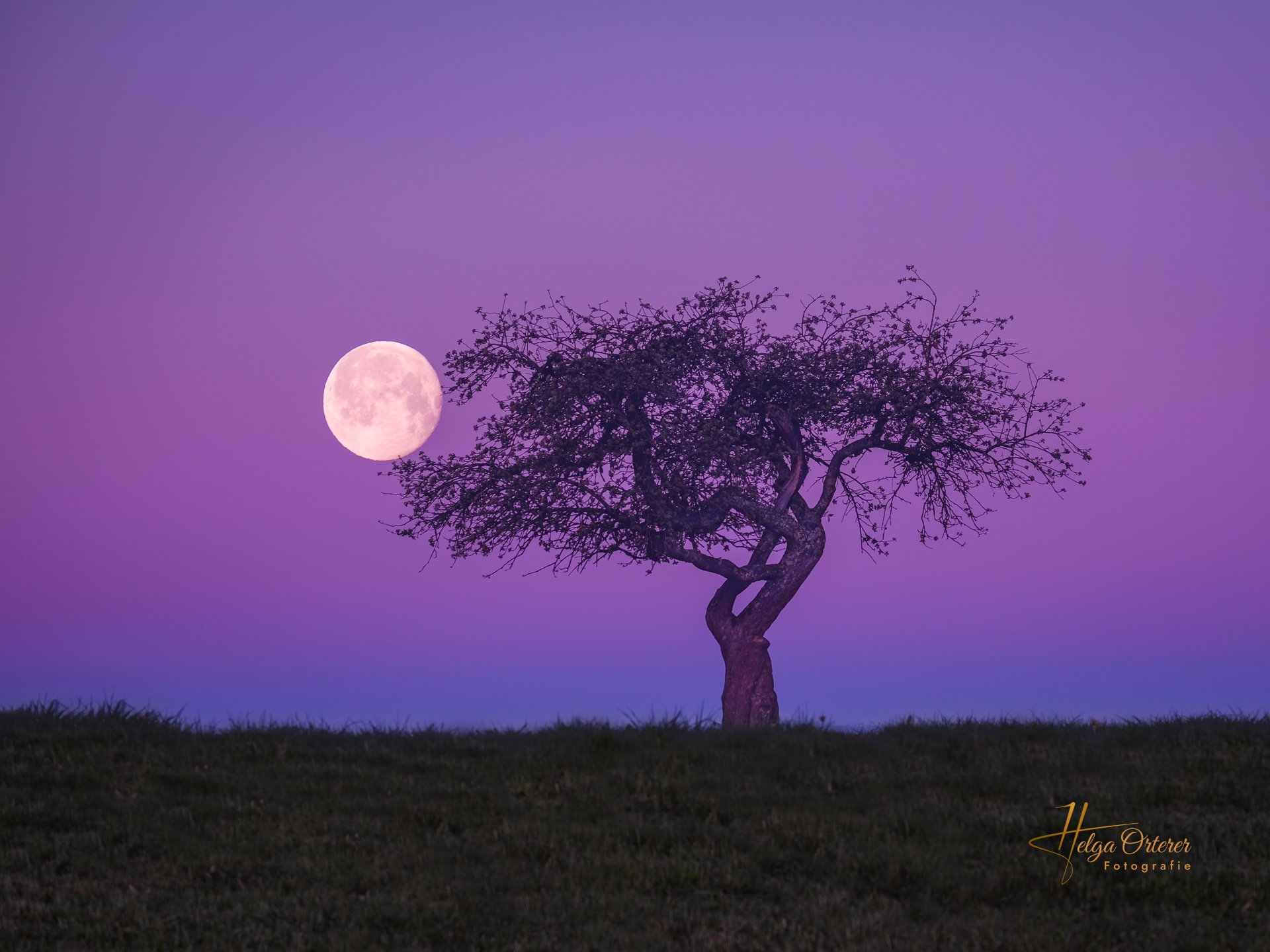 9042_Vollmond_20220418-Bearbeitet.jpg