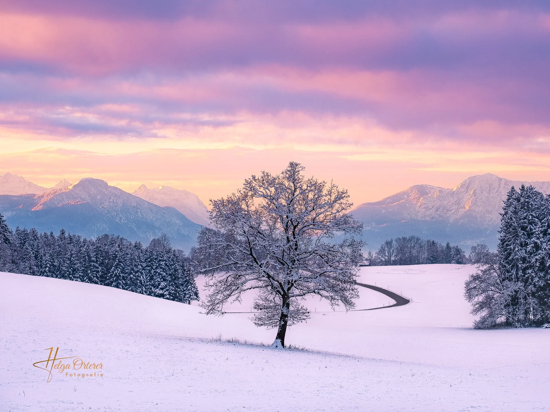 20979_Baum_20221212-HDR-Bearbeitet.jpg