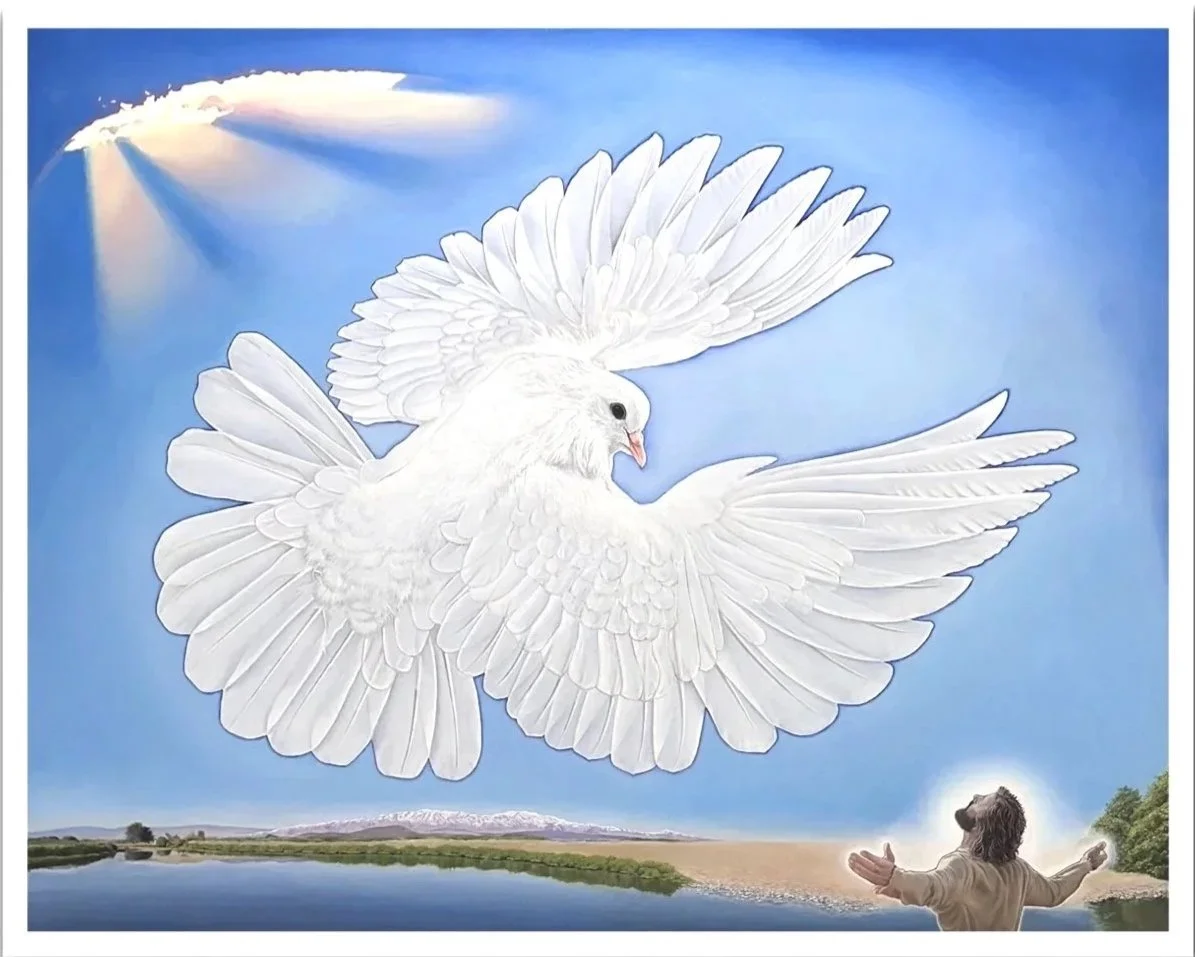 The Beautiful White Dove of the Holy Spirit mounted on Canvas