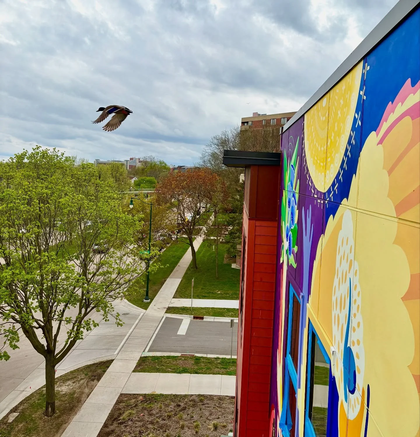 Day 11 🦅A flying spark within a mural scene in progress, at @bayviewfoundation, while painting the eagle&rsquo;s wings, this duck appears and instantly, from the lift, the steps of a crowd demonstrating in Madison, WI, for &ldquo;A Day Without Immig