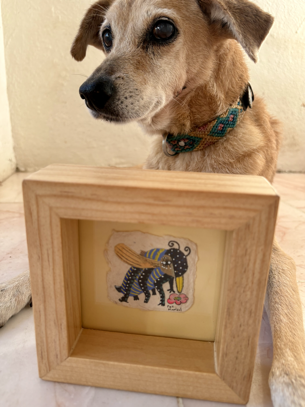 Captura de pantalla 2025-12-15 a la(s) 8.13.12 p.m..png