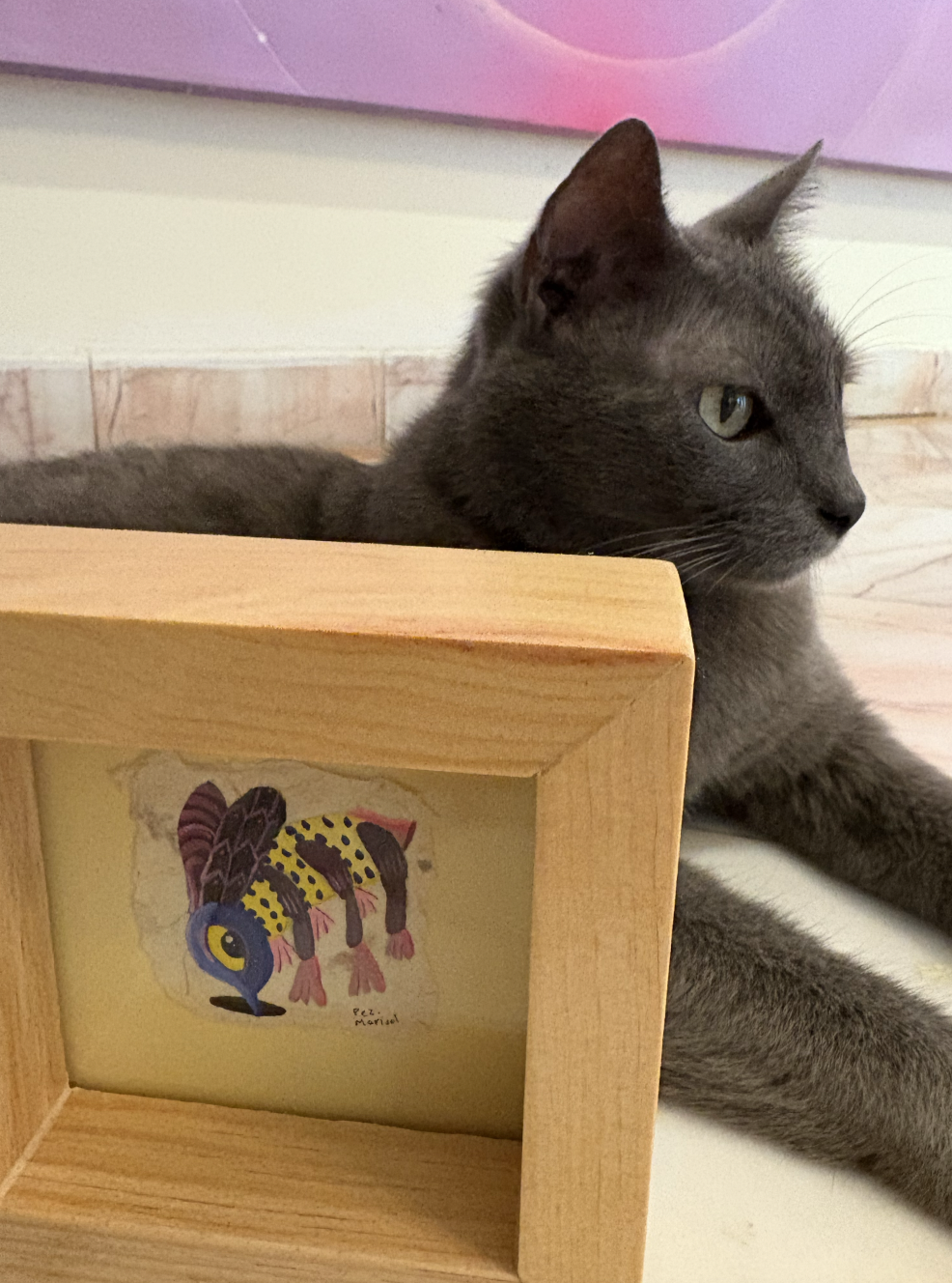 Captura de pantalla 2025-12-15 a la(s) 8.35.17 p.m..png