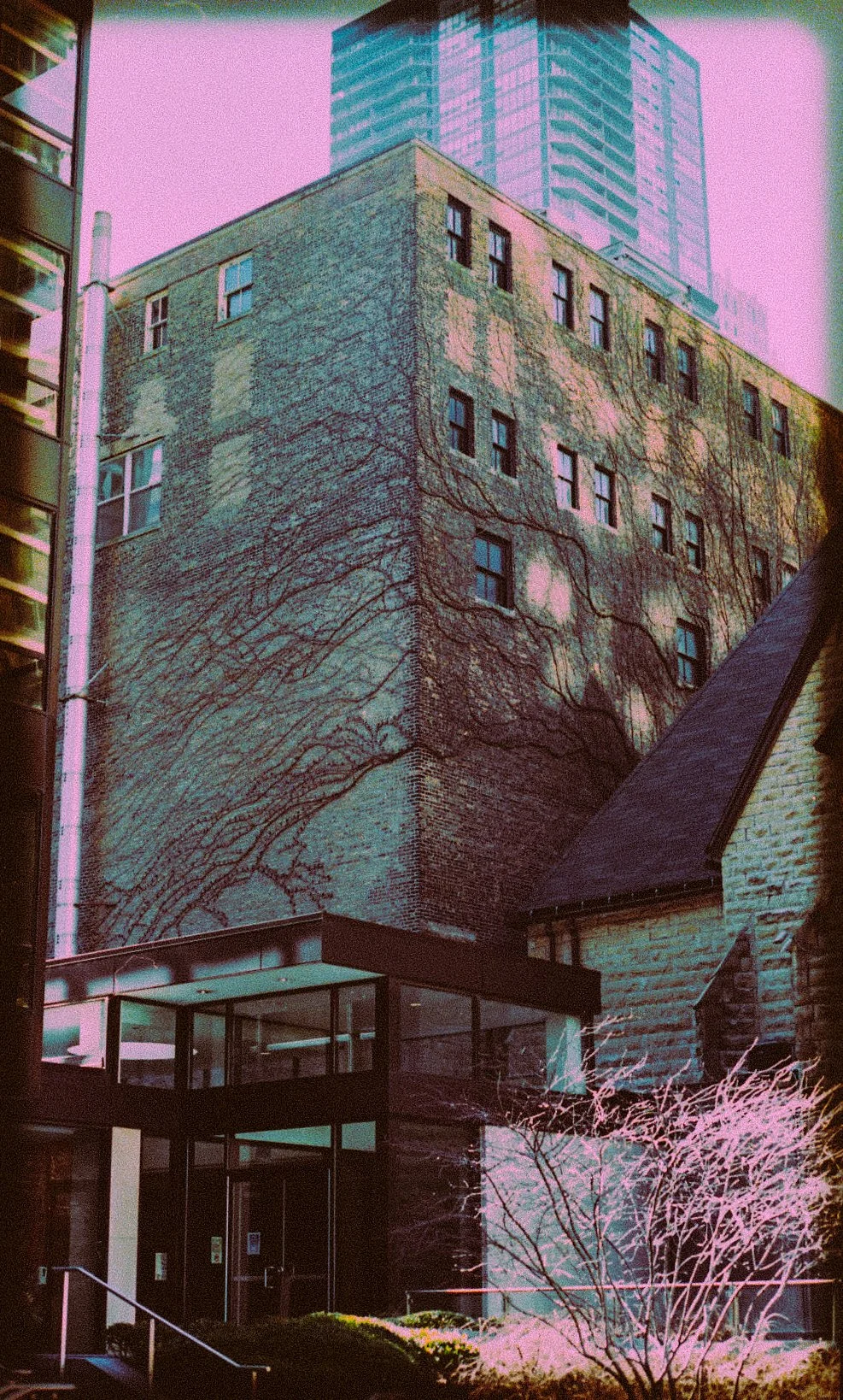 Stylized building with vines on brick wall and glass entrance, modern skyscrapers in background.