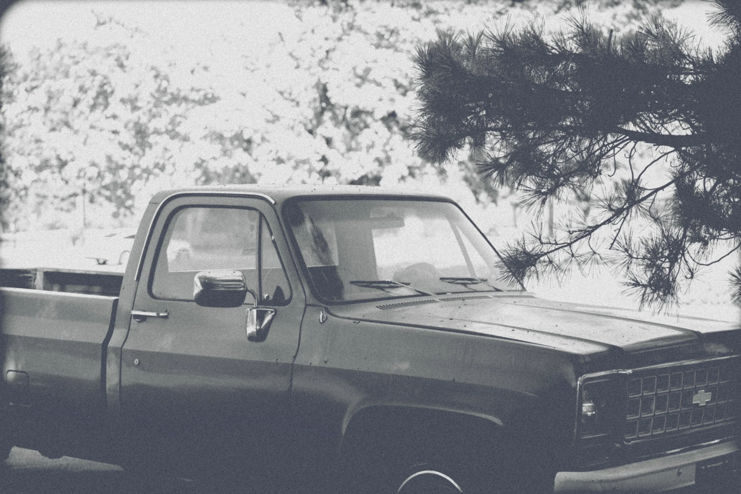 Vintage pickup truck parked under a tree, black and white photo.