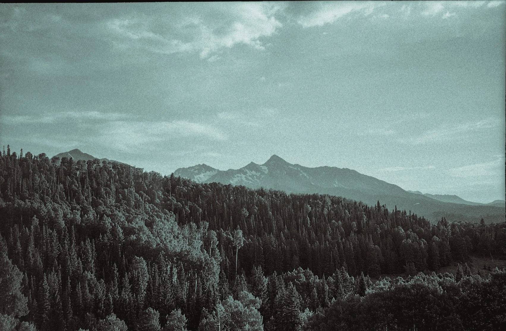 Black and white landscape of mountains and forest with overcast sky.