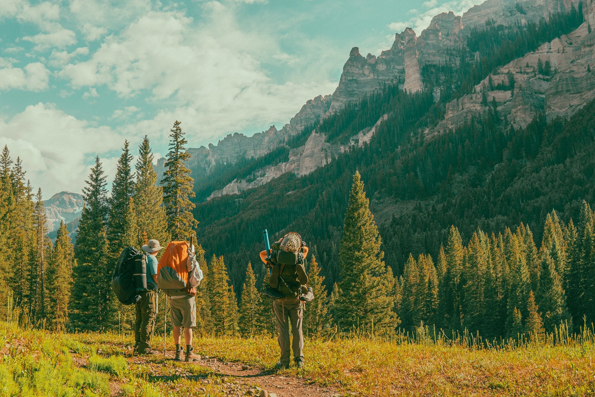 Hikers with backpacks in a mountainous forest landscape