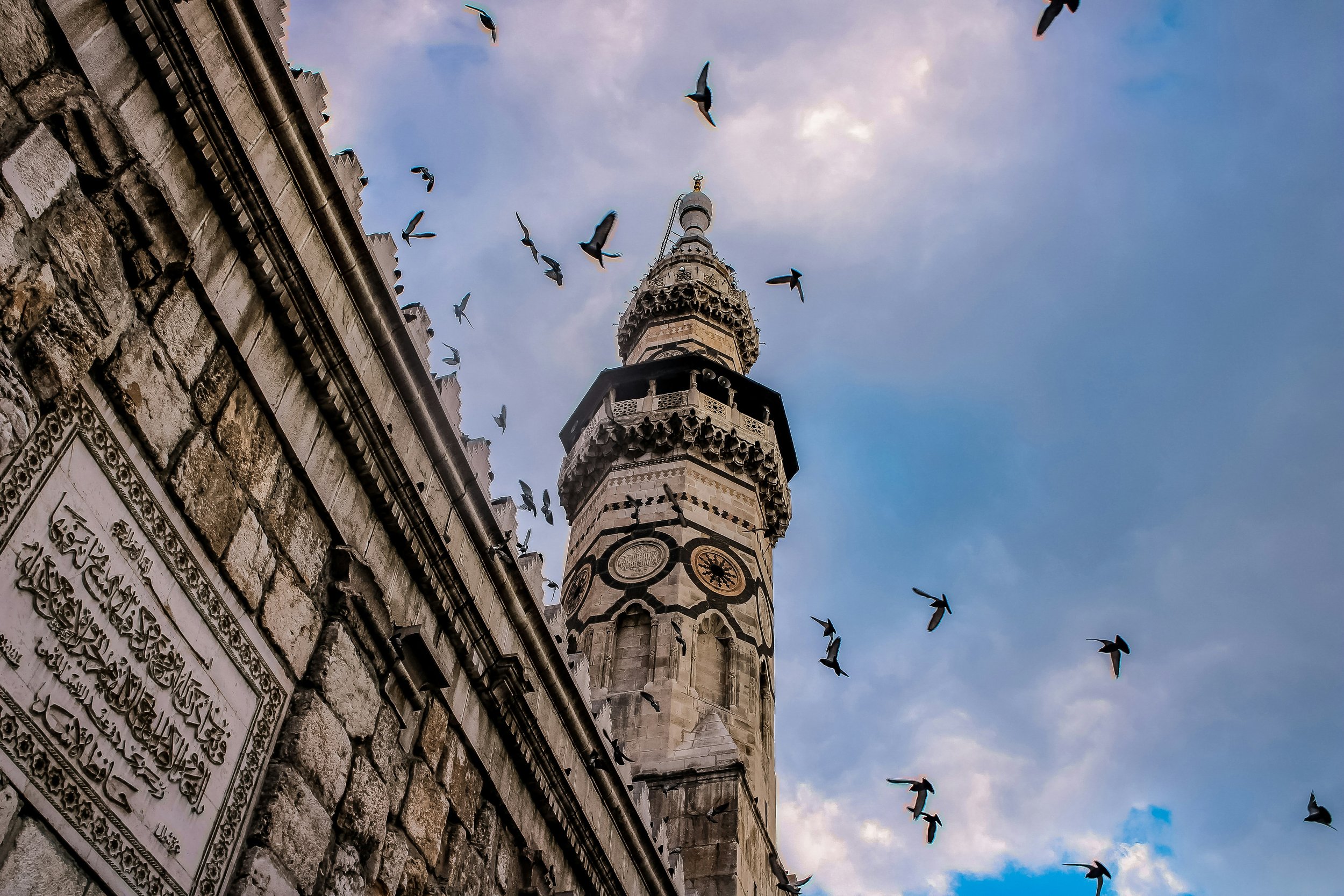 abd-sarakbi-wMUzleDWMxc-unsplash.jpg