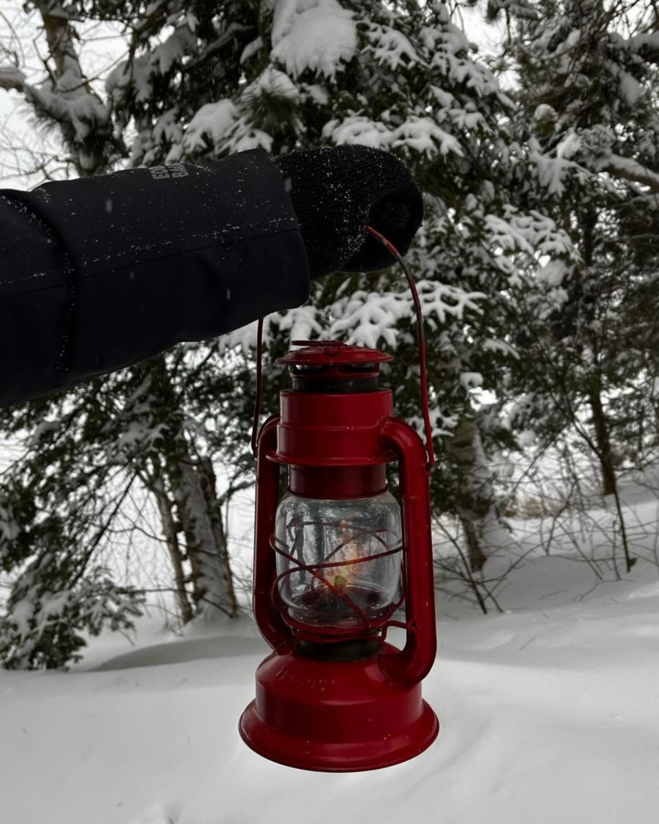 A gentle glow, a quiet forest, and the joy of Christmas at the A-Frame. 🎄✨
We&rsquo;re keeping cozy and tucked in for winter, but we&rsquo;ll be welcoming guests back in Spring! 🌿☀️