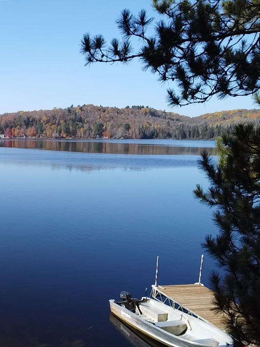 2024-10-19-11-52-51-766_Dock.png