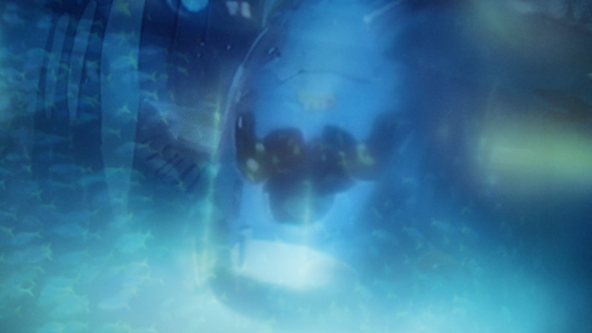 eaugusti_titles_frame01_v02.png