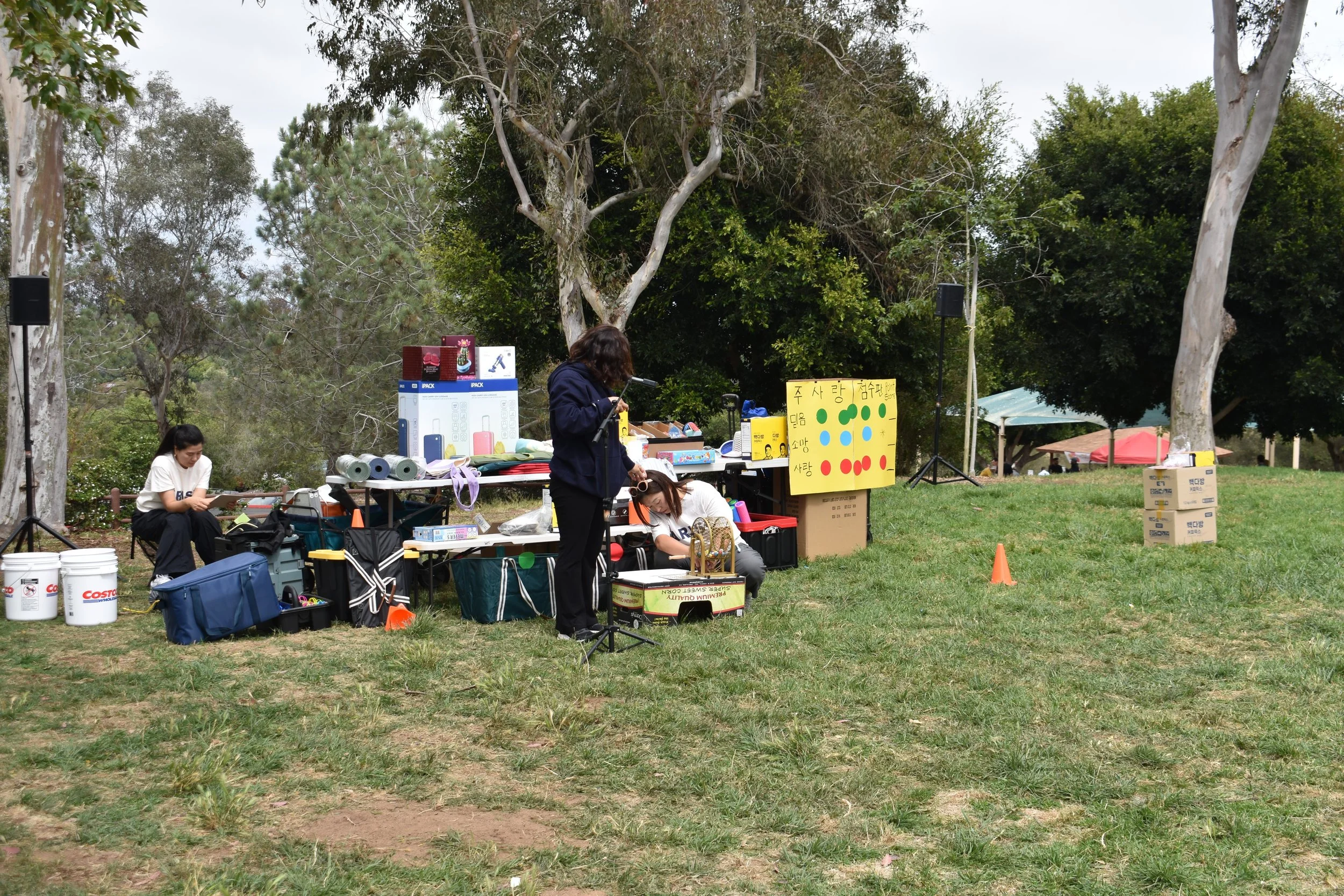 DSC_0673 - Copy.JPG