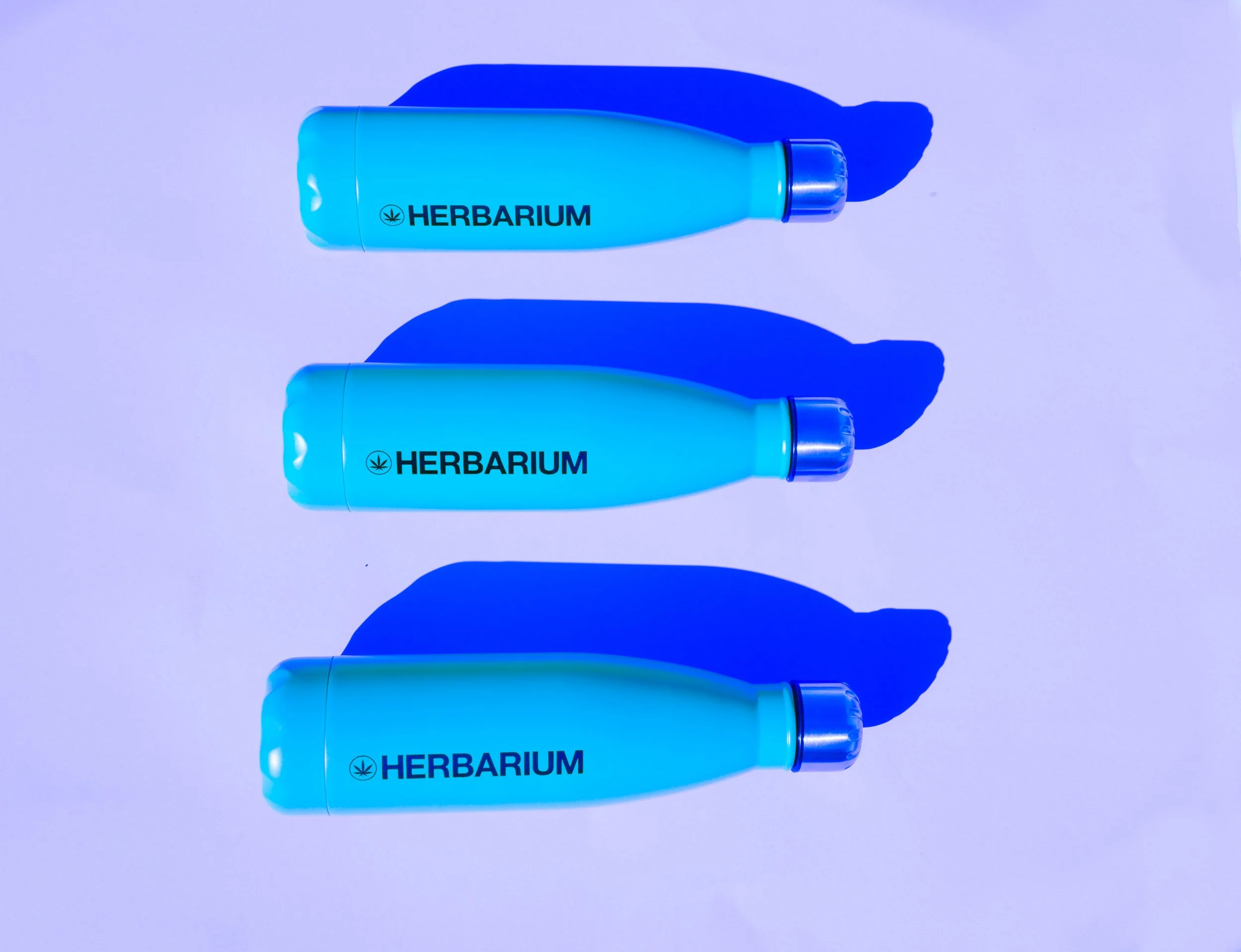 Herbariumlighters-27.jpg