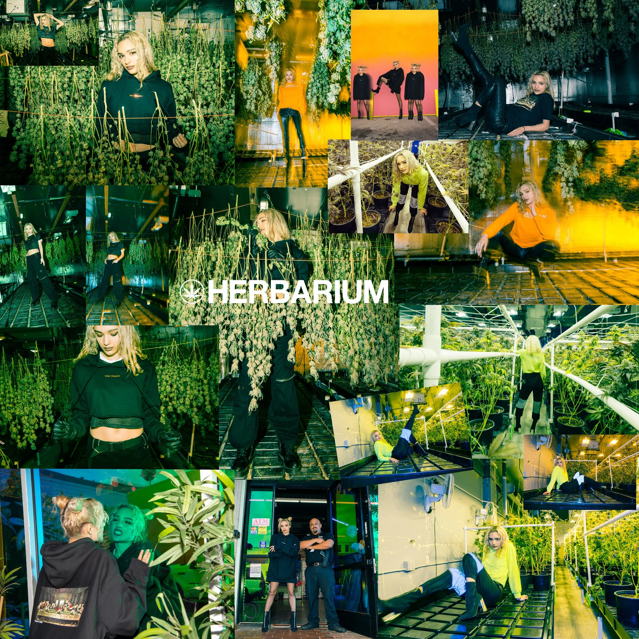 HERBBARIUM.jpg