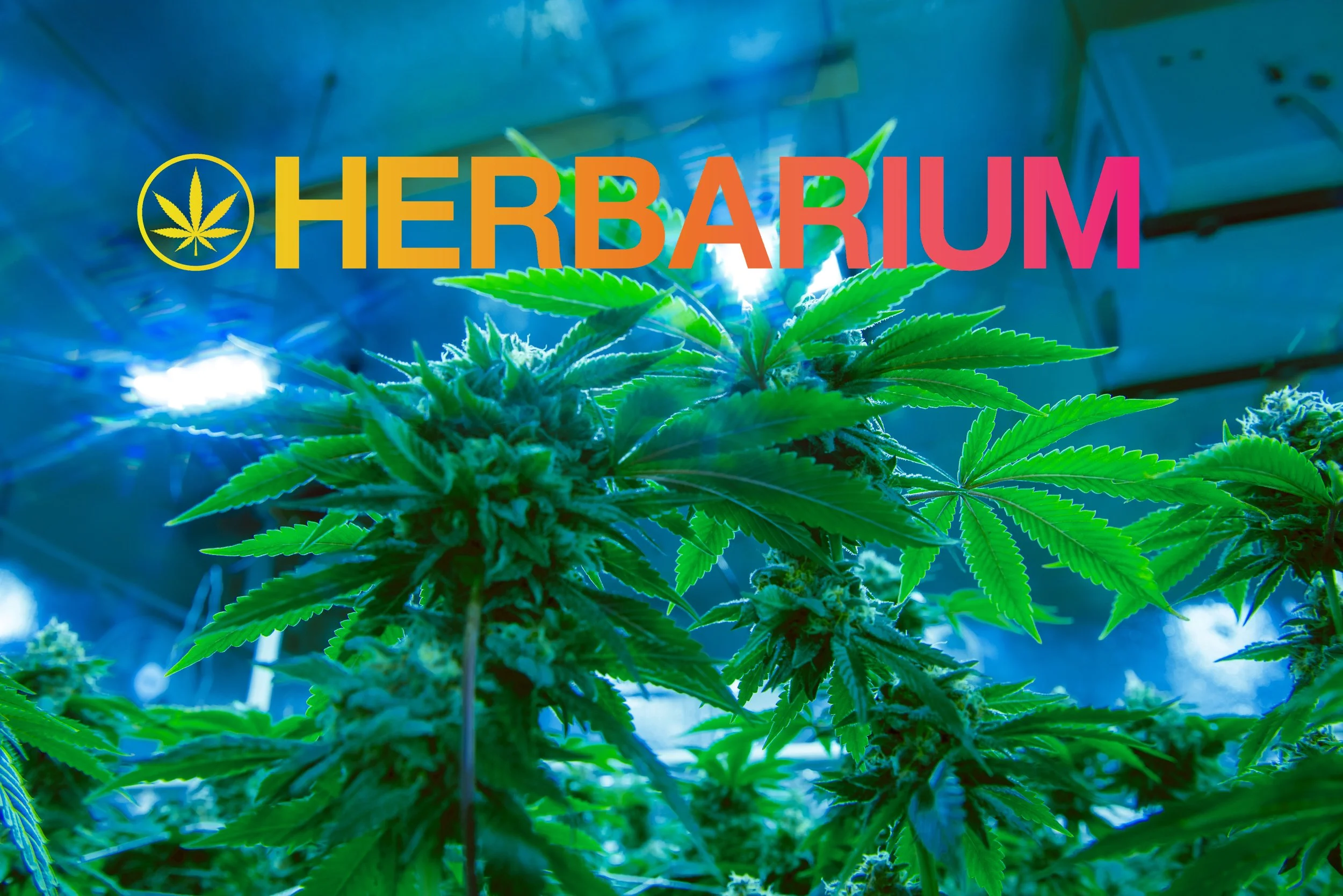 Herbarium2020.jpg