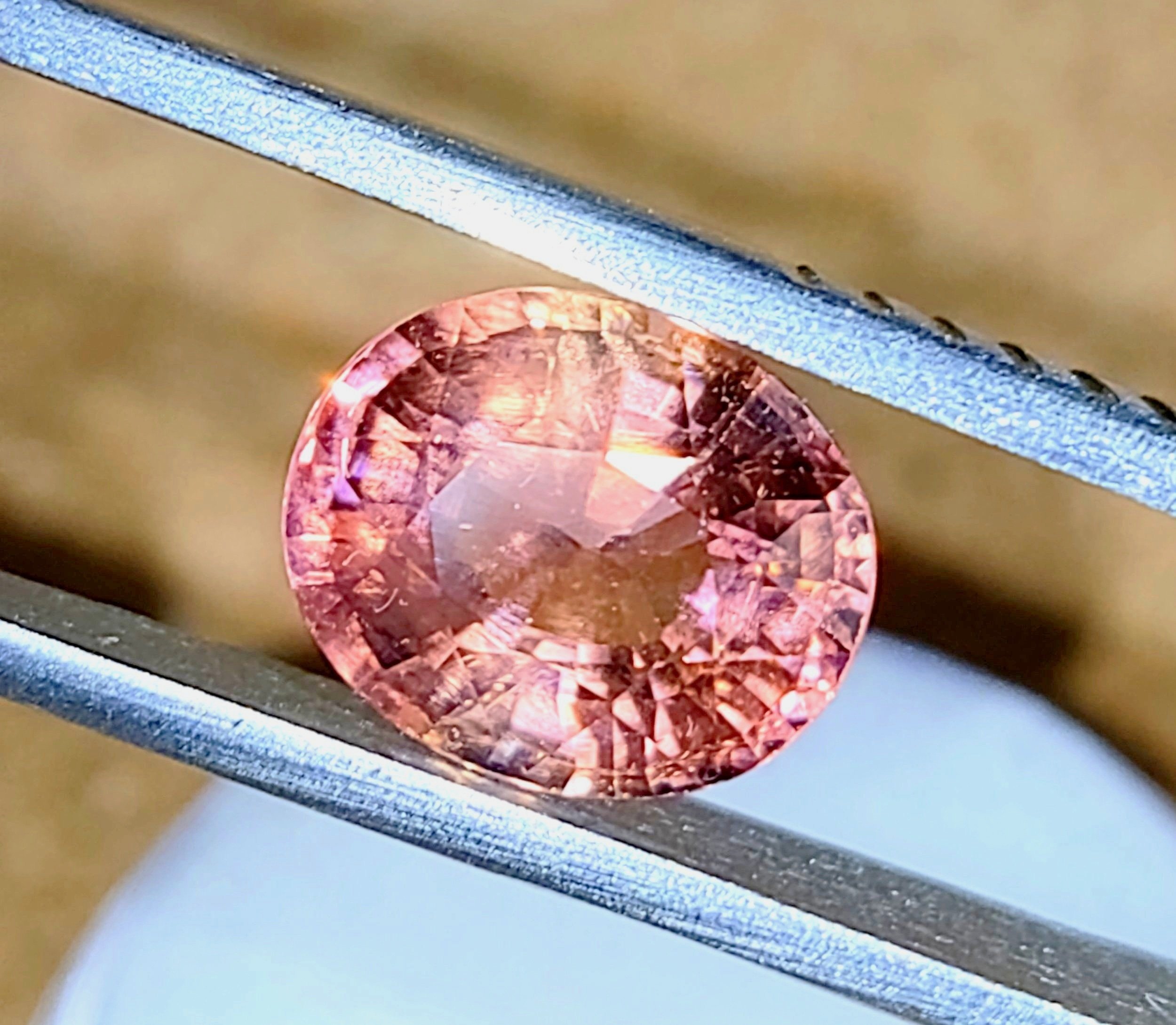 6%25252BPink%25252B3.26.jpg