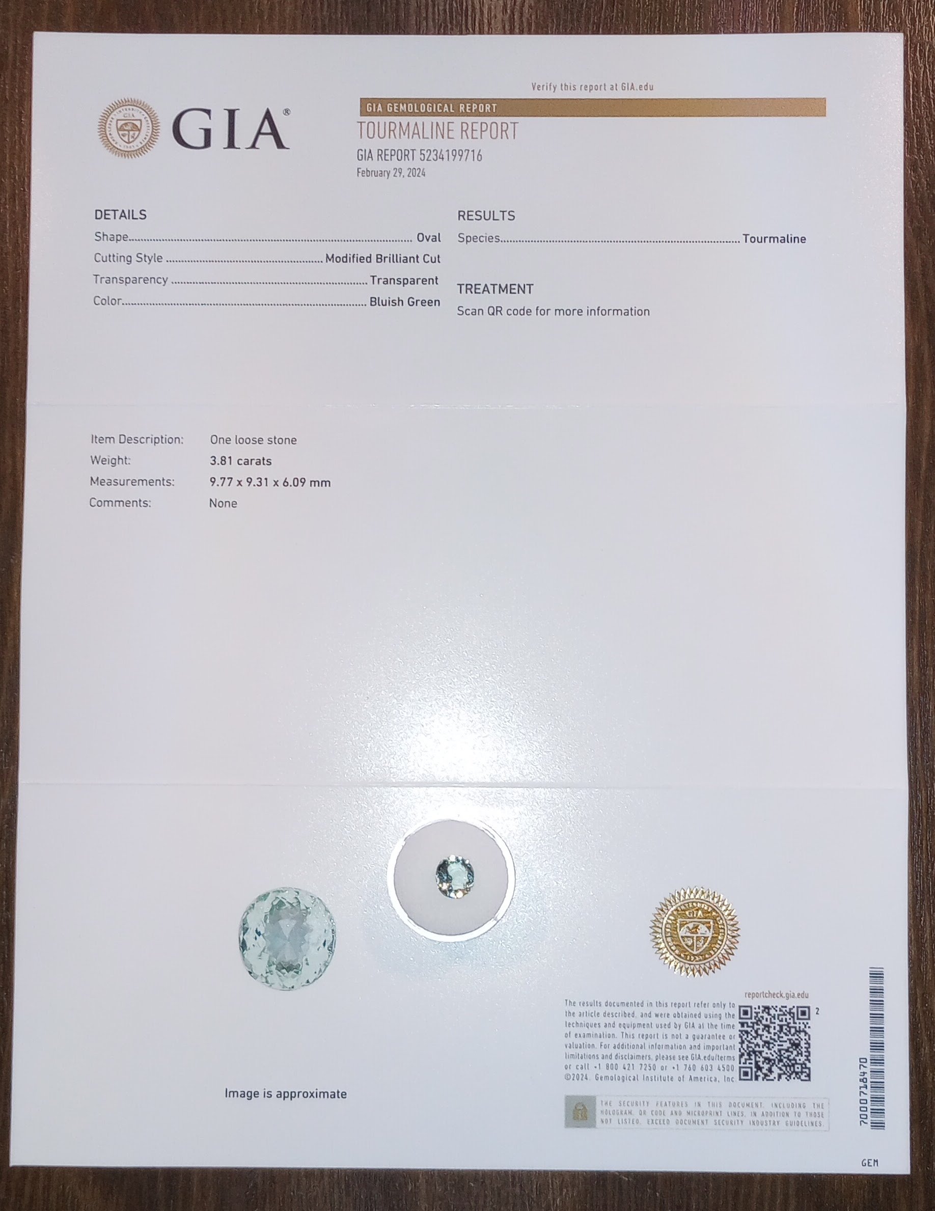 GIA Certified Genuine Seafoam Congolese Tourmaline