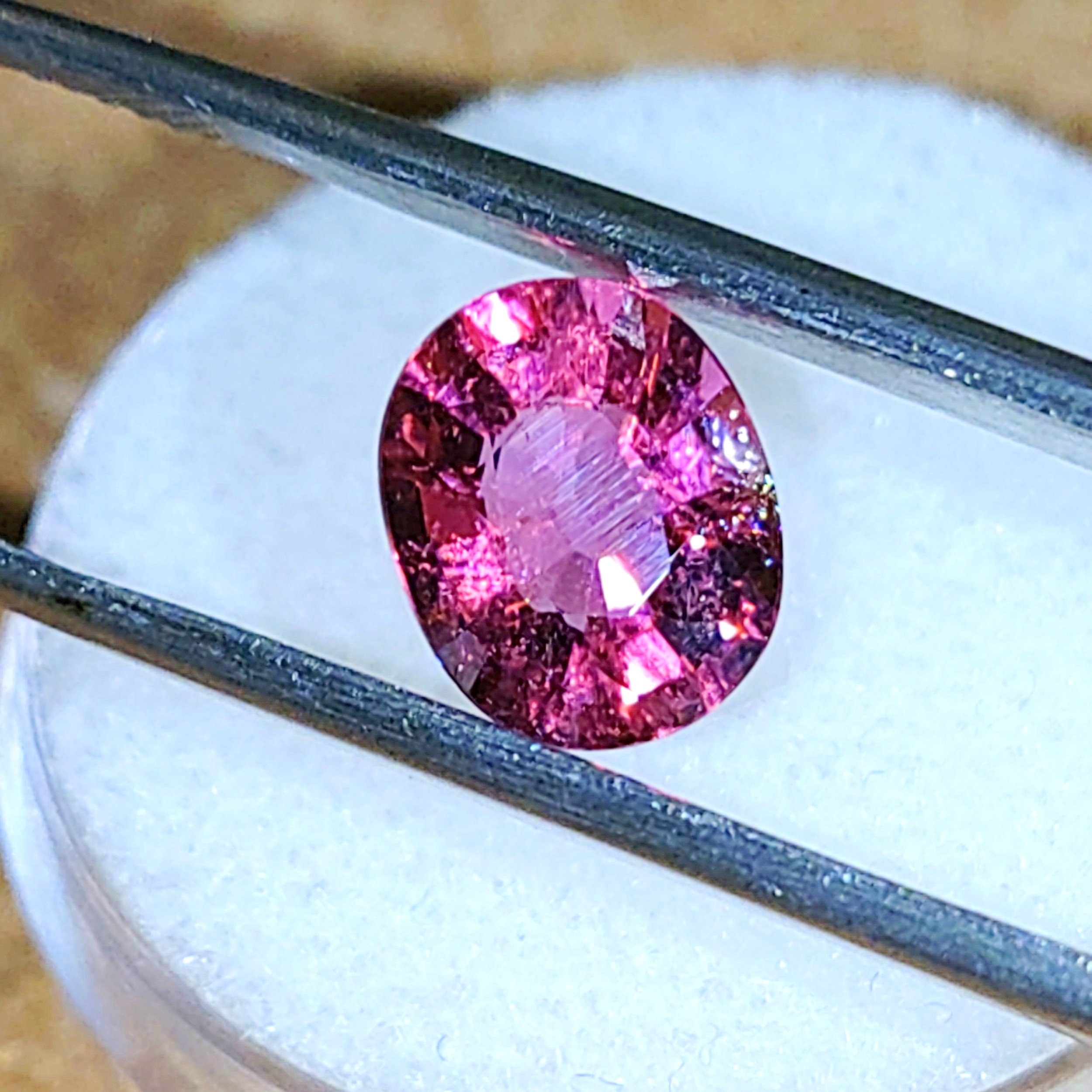 Hot%2BPink%2B1.90%2B7.jpg