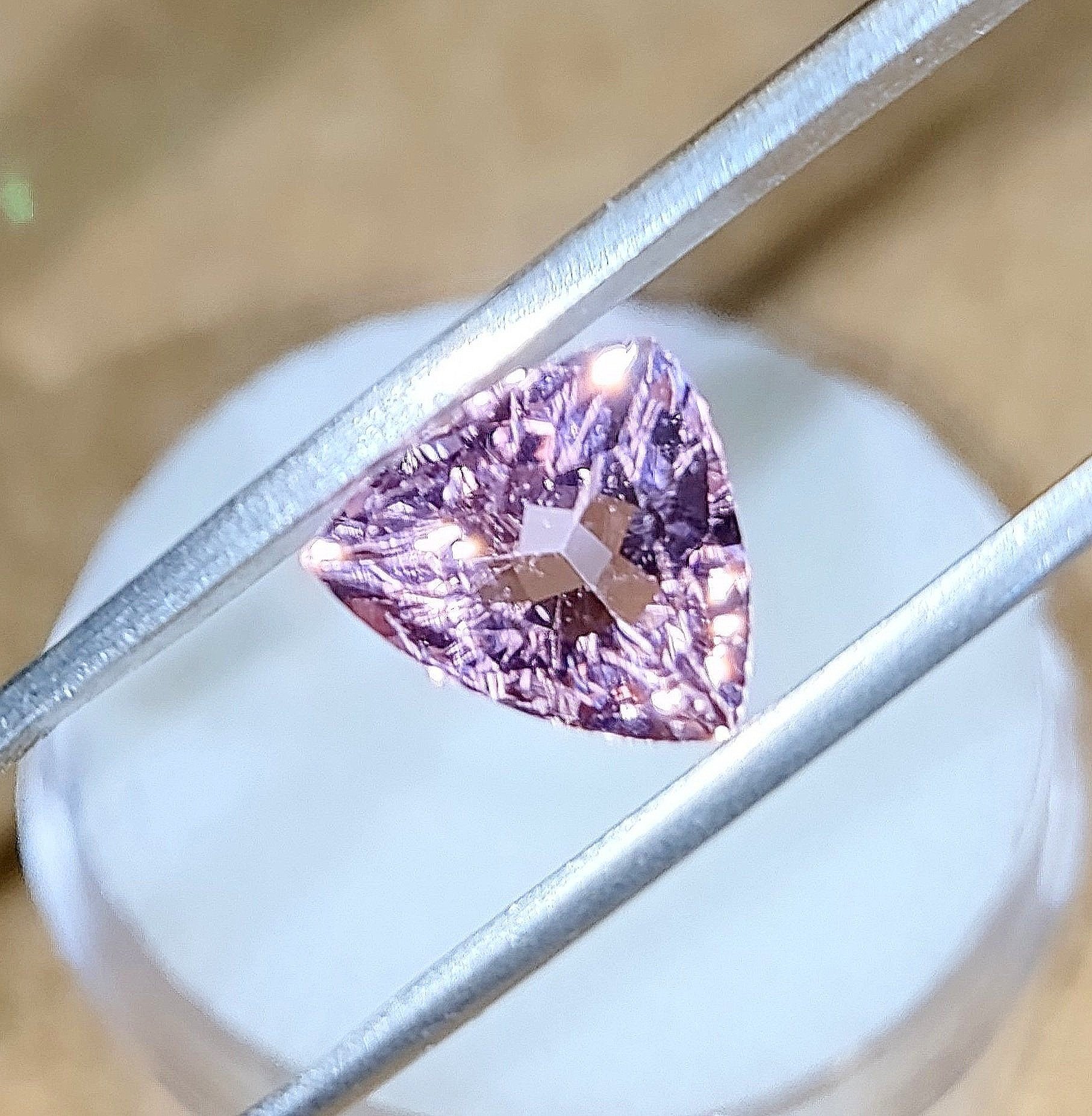Pink%25252B2.14%25252B5.jpg