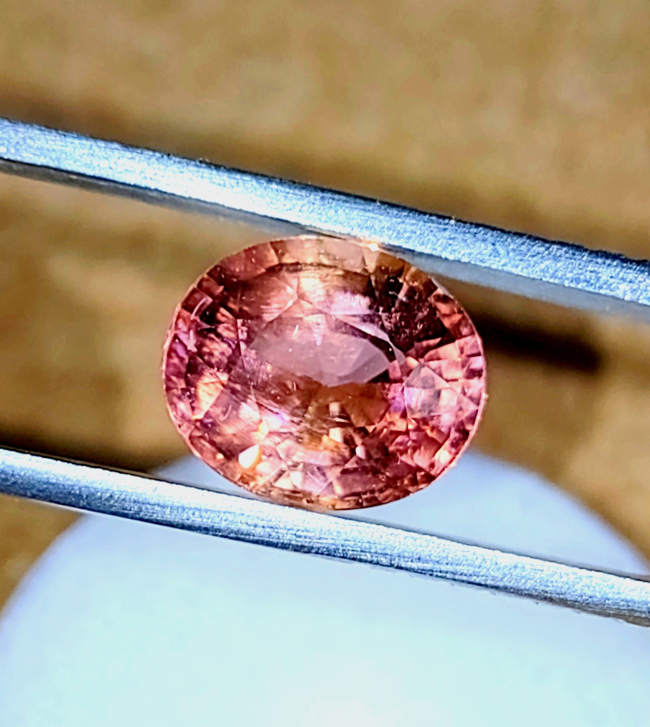 8%25252BPink%25252B3.26.jpg