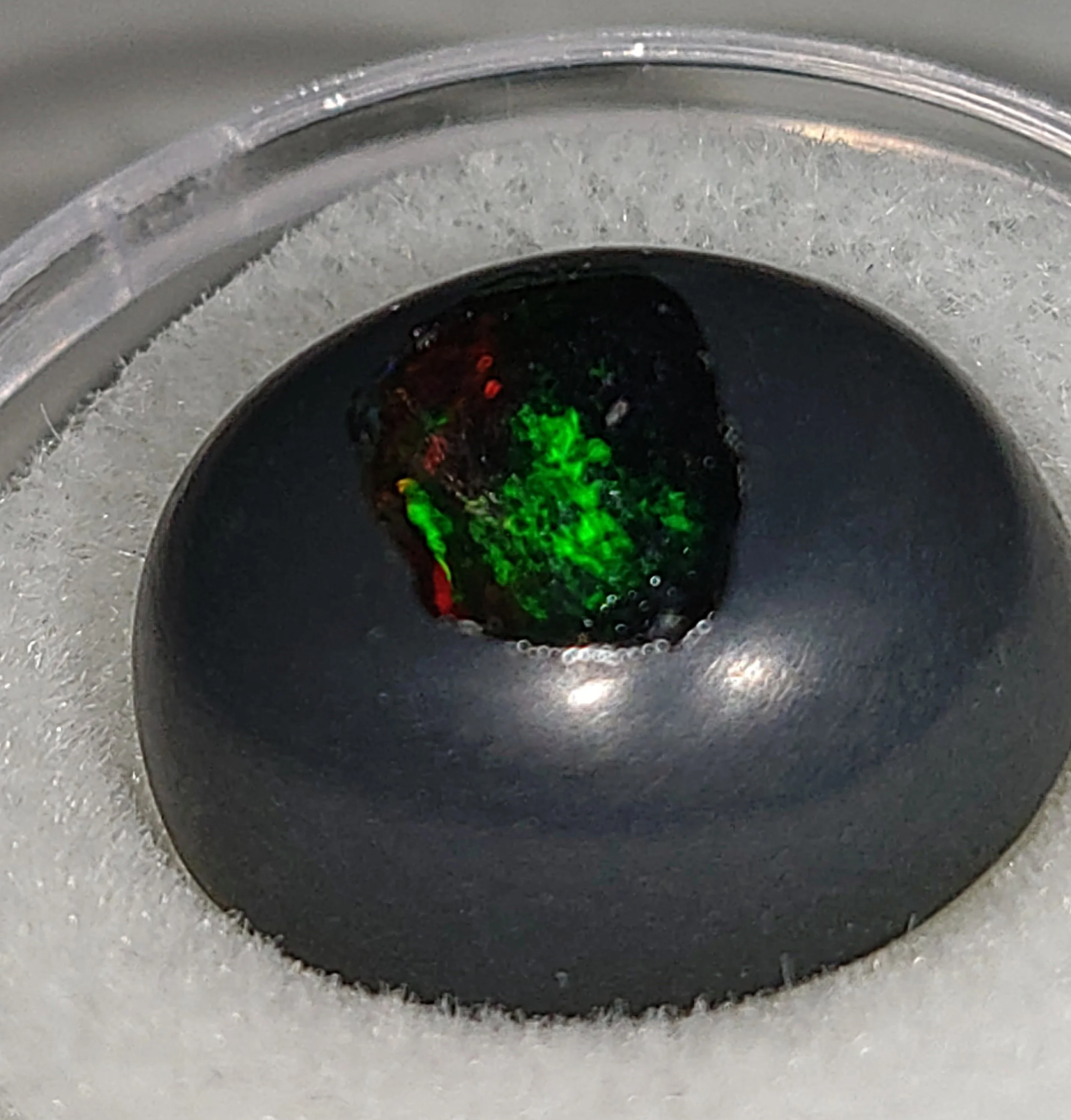 Genuine Dragons Egg Australian Boulder Opal 8.87ct from TheCoveAtFoxHollow.com