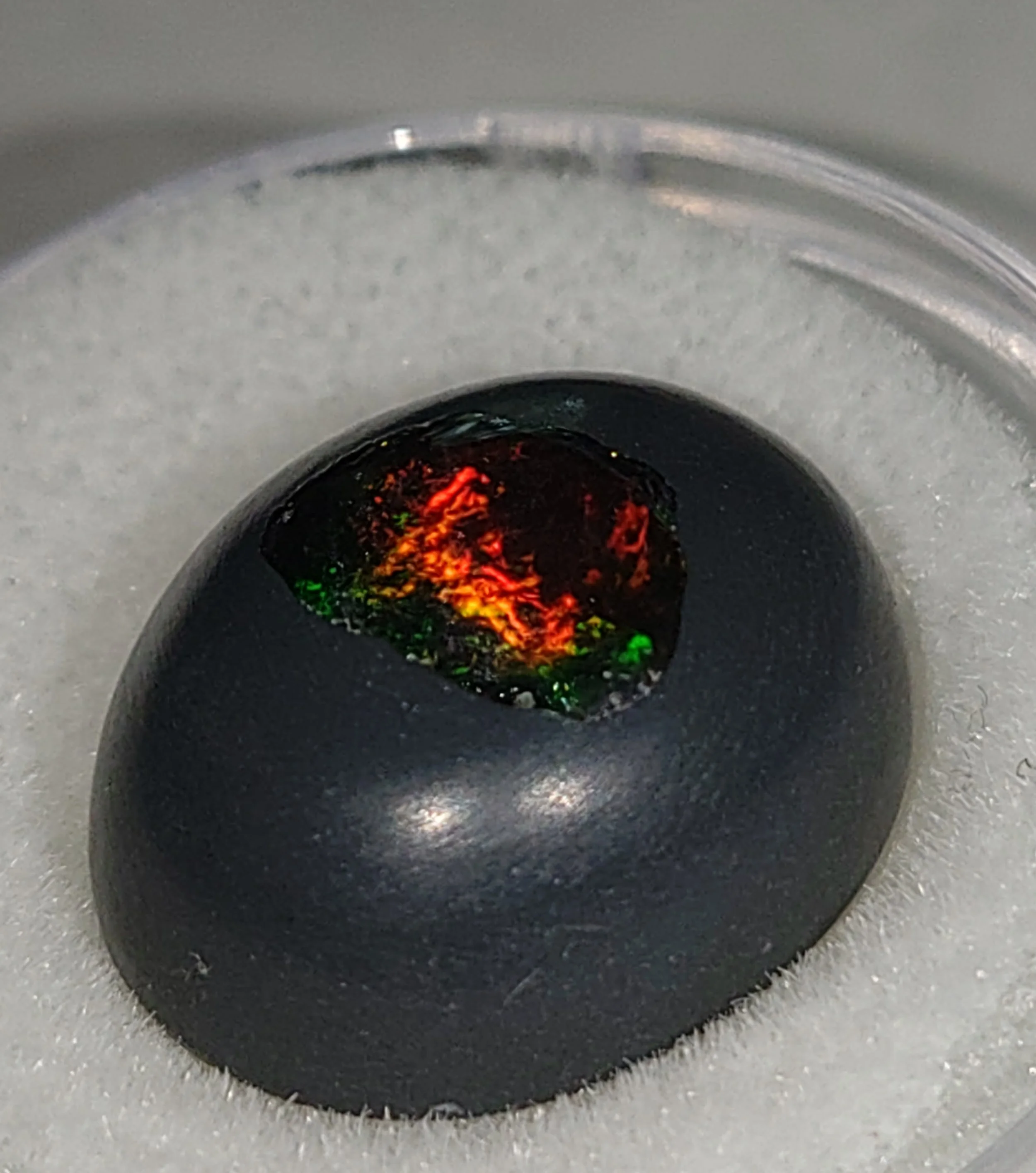 Genuine Dragons Egg Australian Boulder Opal 8.87ct from TheCoveAtFoxHollow.com