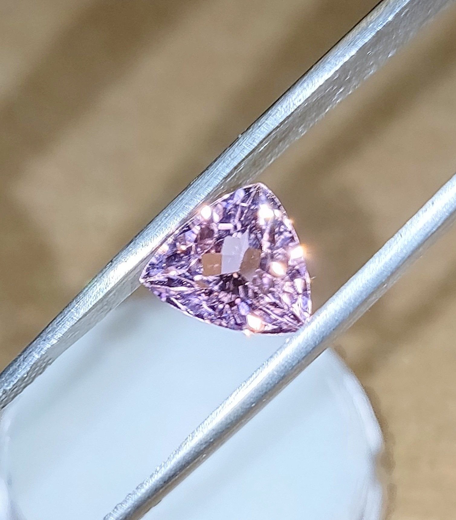Pink%252B2.14%252B4.jpg