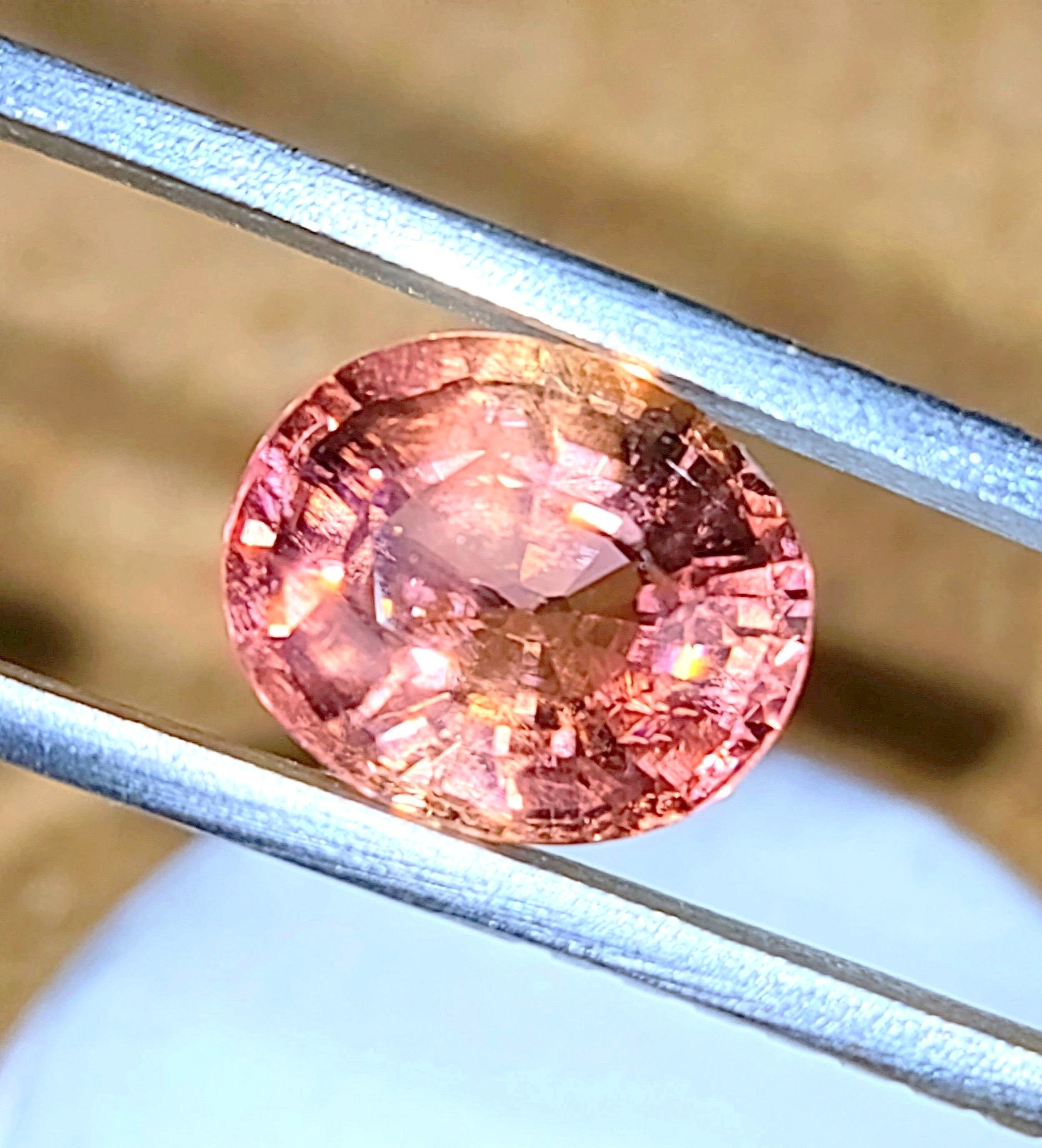 5%2525252BPink%2525252B3.26.jpg