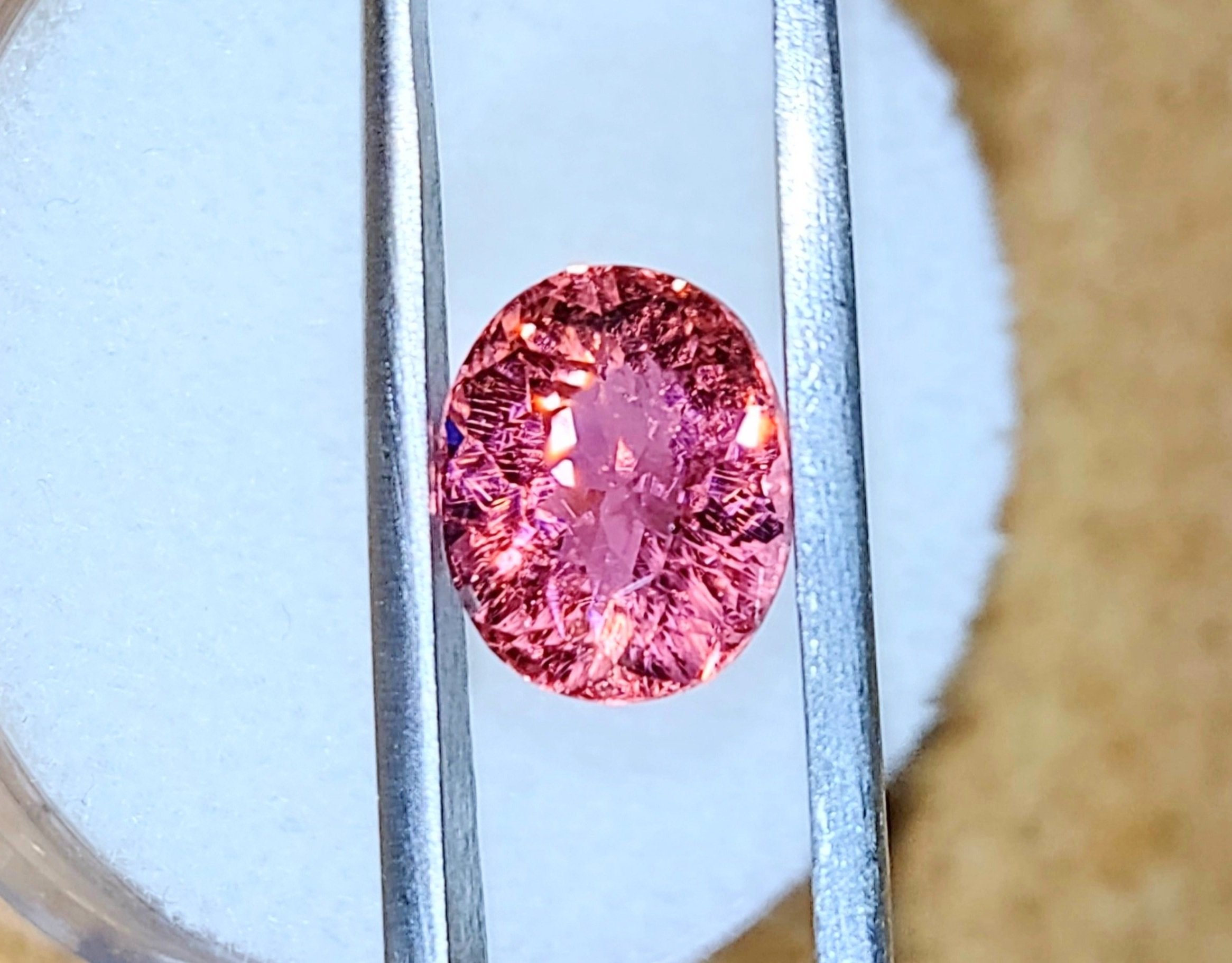 Hot%2525252BPink%2525252B2.58%2525252B10.jpg