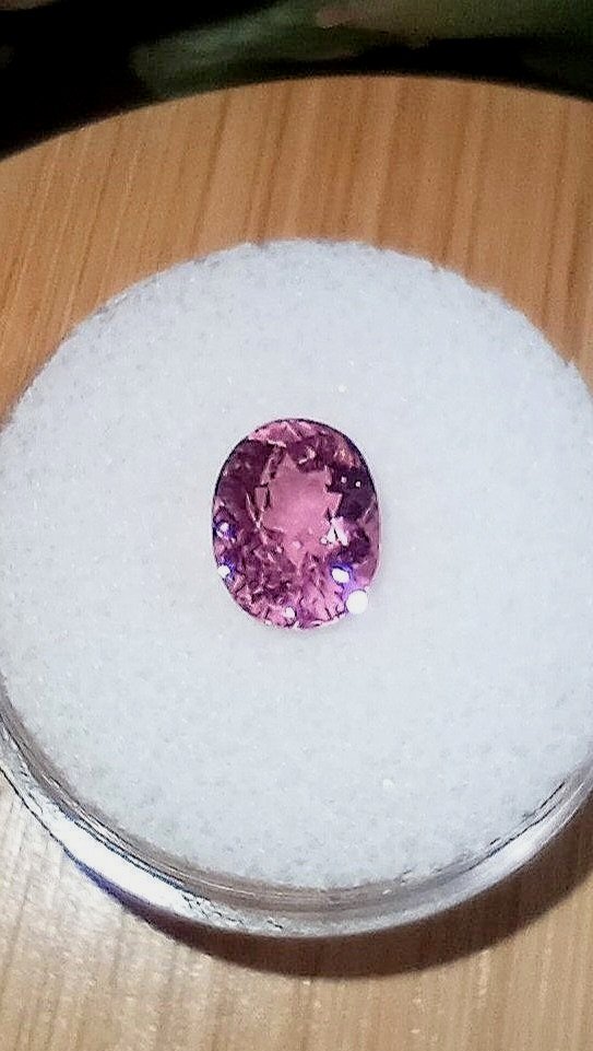 Congo%25252BHot%25252BPink%25252B2%25252B%252525282%25252529.jpg