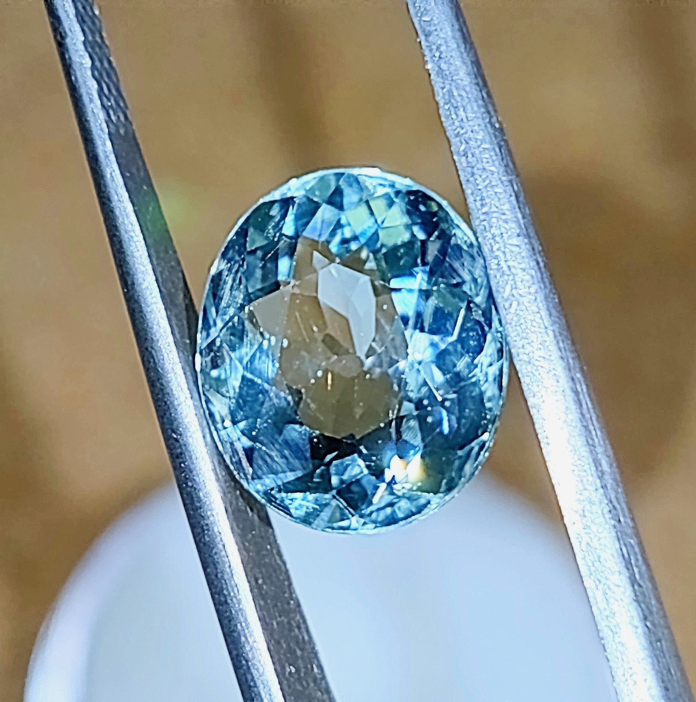 Seafoam%2525252B3.18%2525252B5.jpg