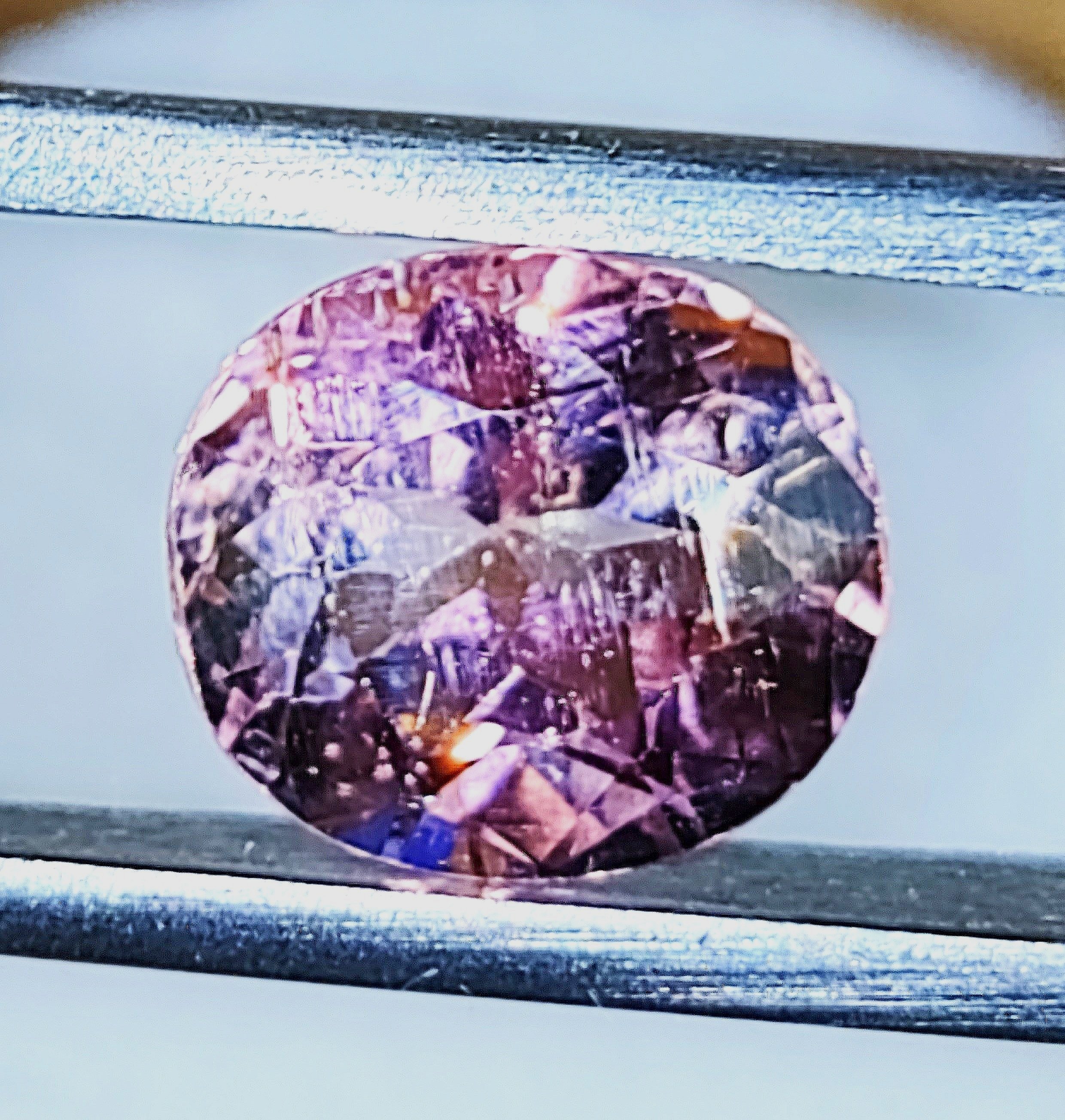 Pink%252B2.21%252B3.jpg